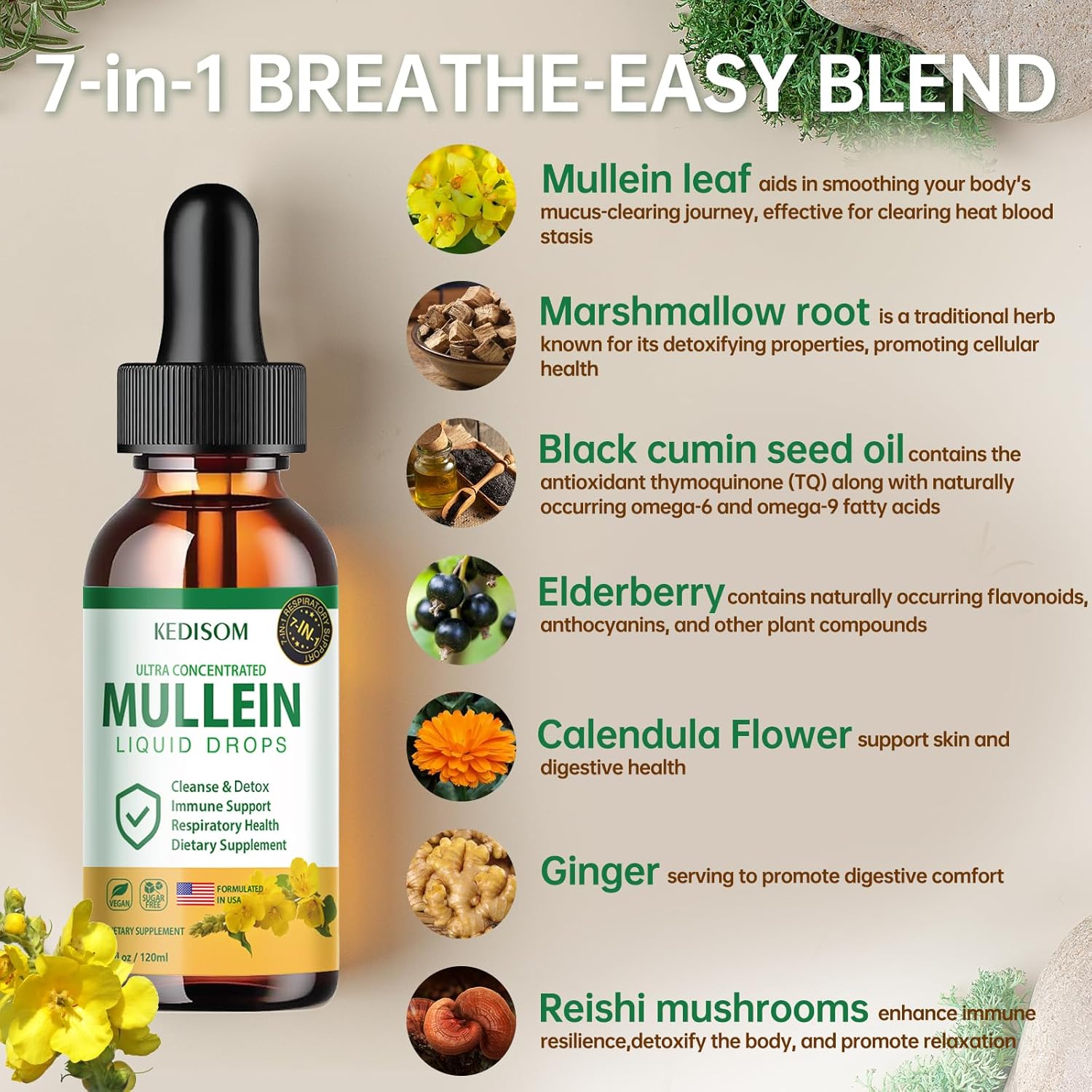 Natural Mullein Leaf Extract Liquid Drops for Lungs - 7 in 1 Formula with Marshmallow Root and Ginger - 4 Fl Oz Herbal Supplement for Lung Cleanse, Gut Health, Immune Support - Non-GMO