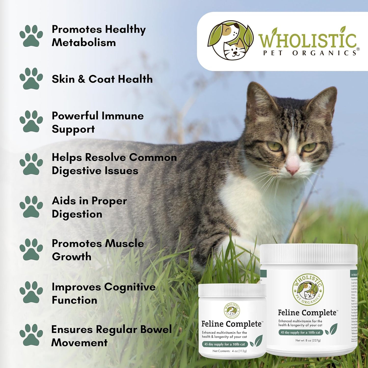 Natural Multivitamin & Probiotic Powder for Cats - Wholistic Pet Organics Feline Complete - 4 Oz - Supports Digestive Health and Overall Wellness