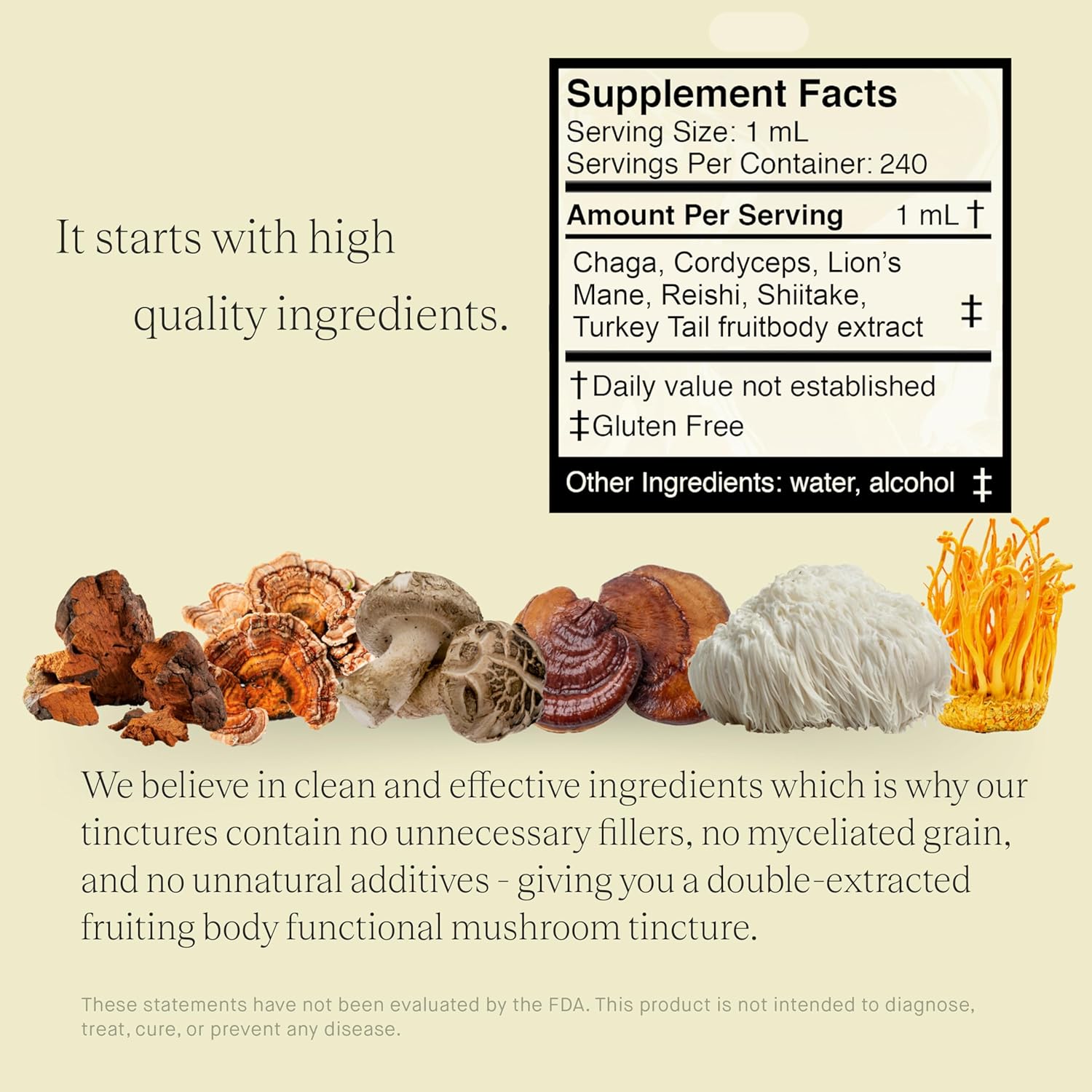Natural Mushroom Blend Tincture for Immunity Boost & Energy - 6 Types of Mushrooms for Cognitive Function - 240 Servings