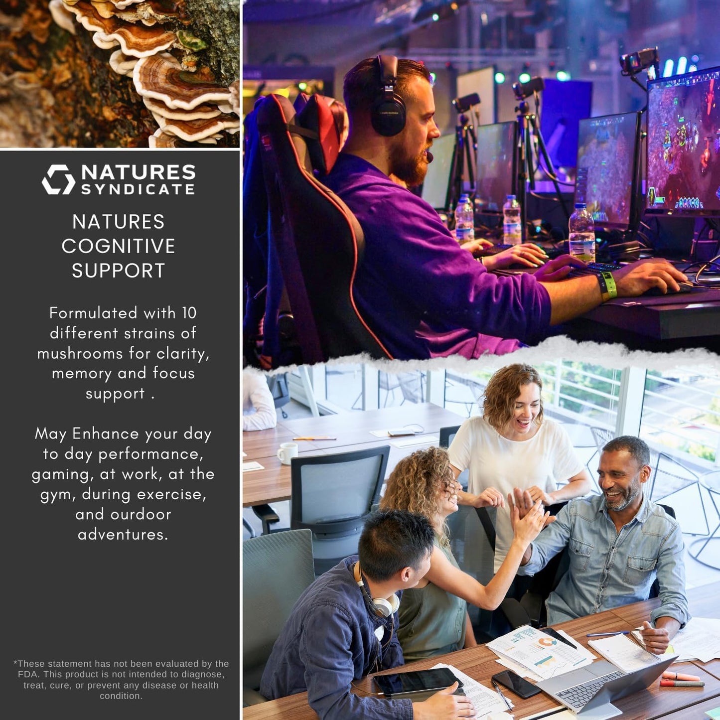 Natural Mushroom Complex Supplement for Cognitive Wellness & Immune Support - Brain Nootropic with Cordyceps, Reishi, Lions Mane, Turkey Tail - Boost Clarity, Focus, Memory - 10 Mushroom Blend