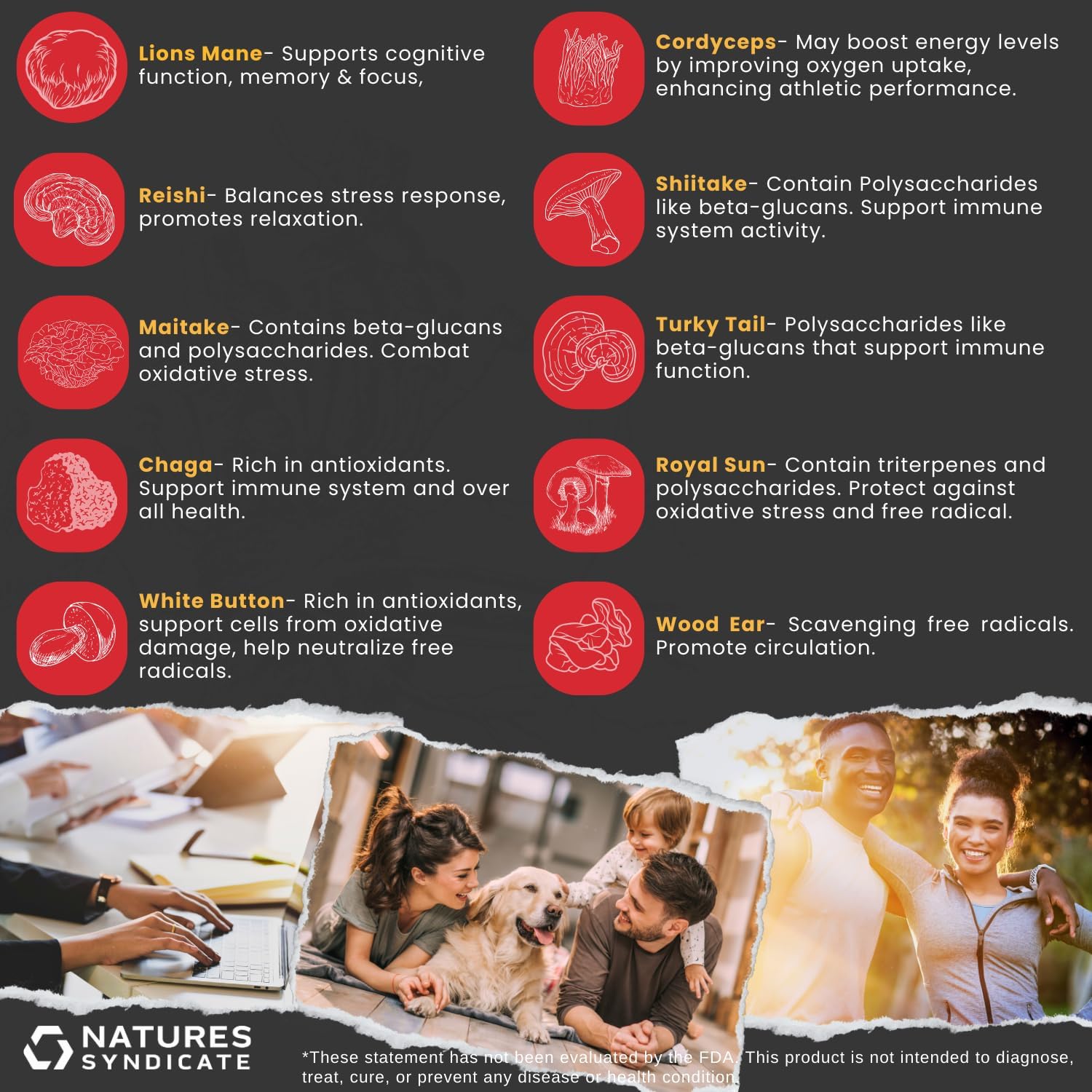 Natural Mushroom Complex Supplement for Cognitive Wellness & Immune Support - Brain Nootropic with Cordyceps, Reishi, Lions Mane, Turkey Tail - Boost Clarity, Focus, Memory - 10 Mushroom Blend