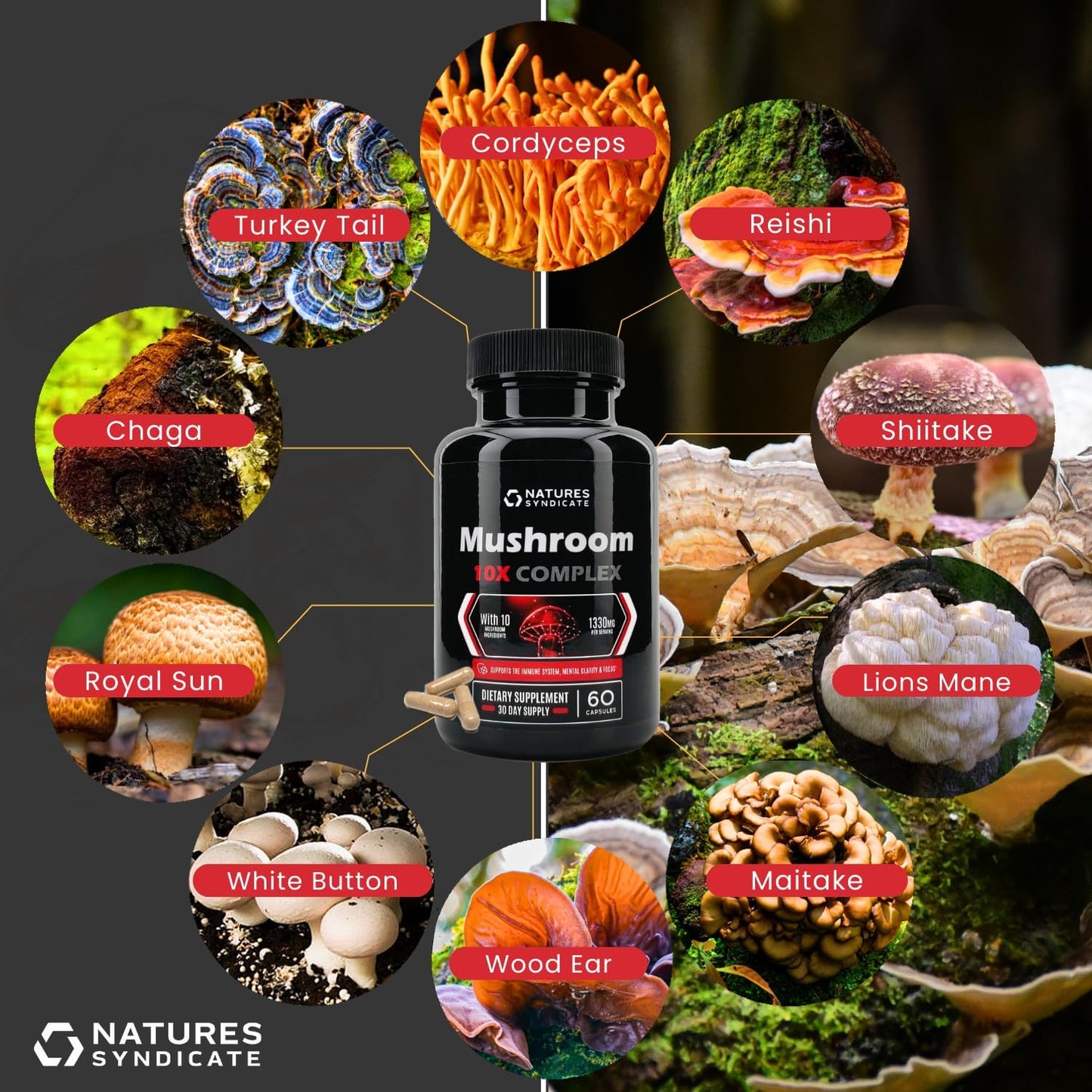 Natural Mushroom Complex Supplement for Cognitive Wellness & Immune Support - Brain Nootropic with Cordyceps, Reishi, Lions Mane, Turkey Tail - Boost Clarity, Focus, Memory - 10 Mushroom Blend