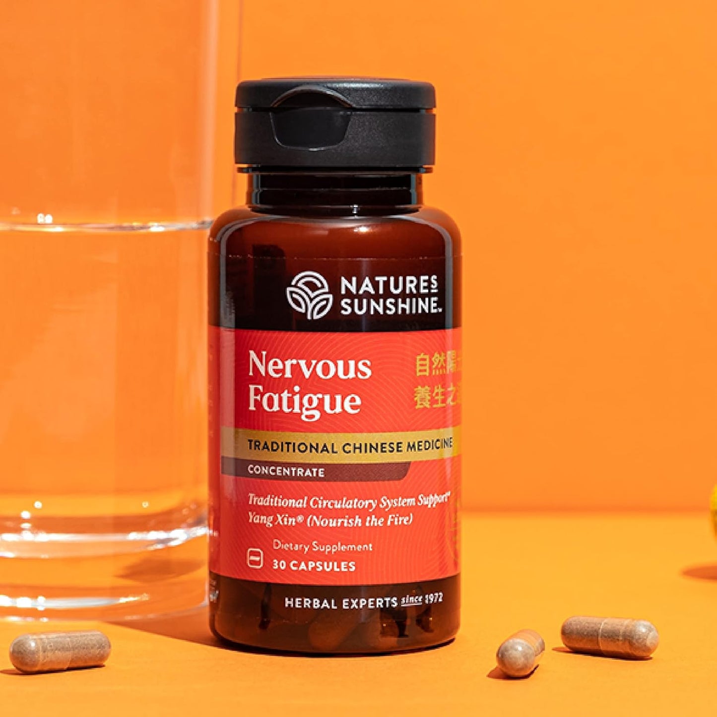 Natural Nervous Fatigue Support Supplement - TCM Concentrate - 30 Capsules