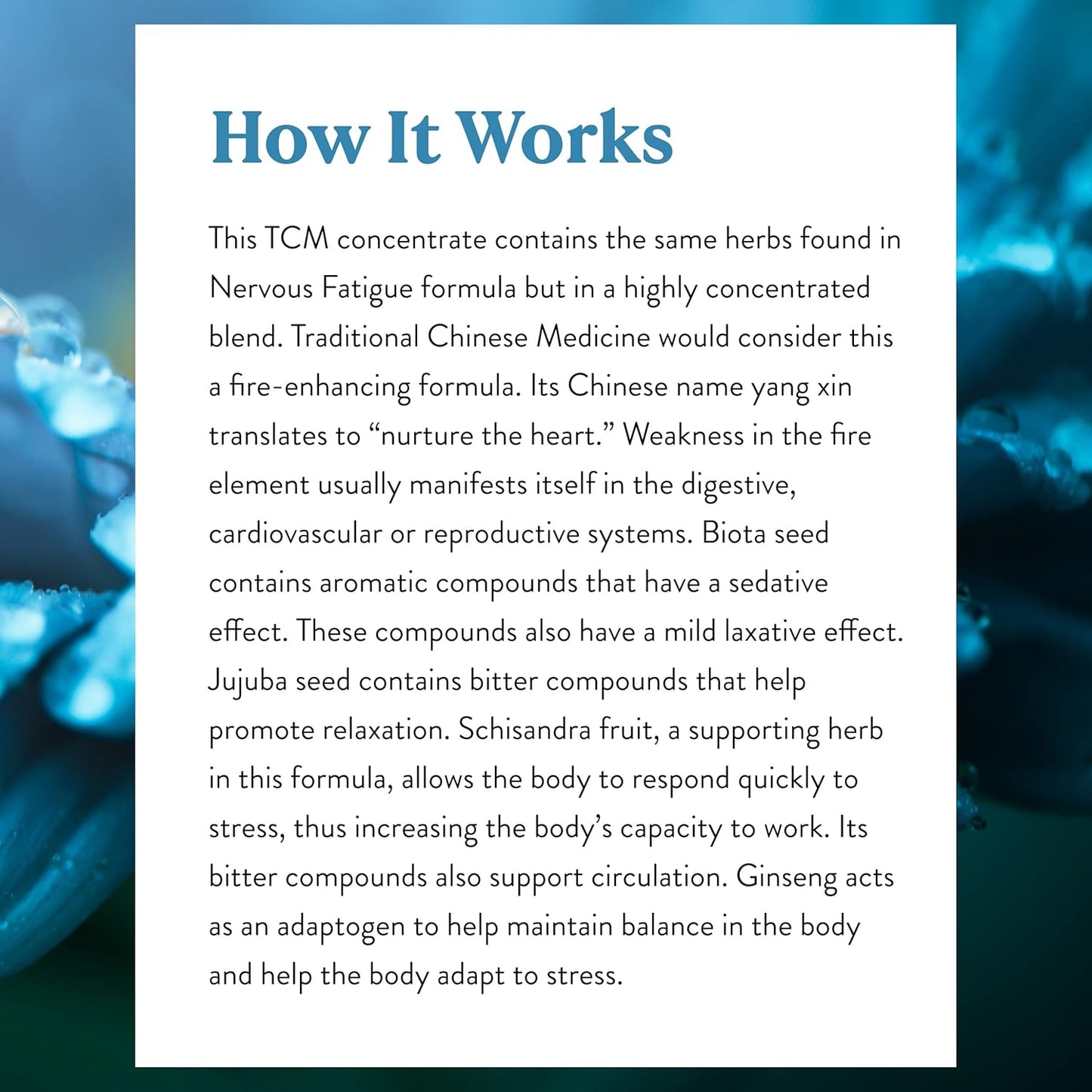 Natural Nervous Fatigue Support Supplement - TCM Concentrate - 30 Capsules