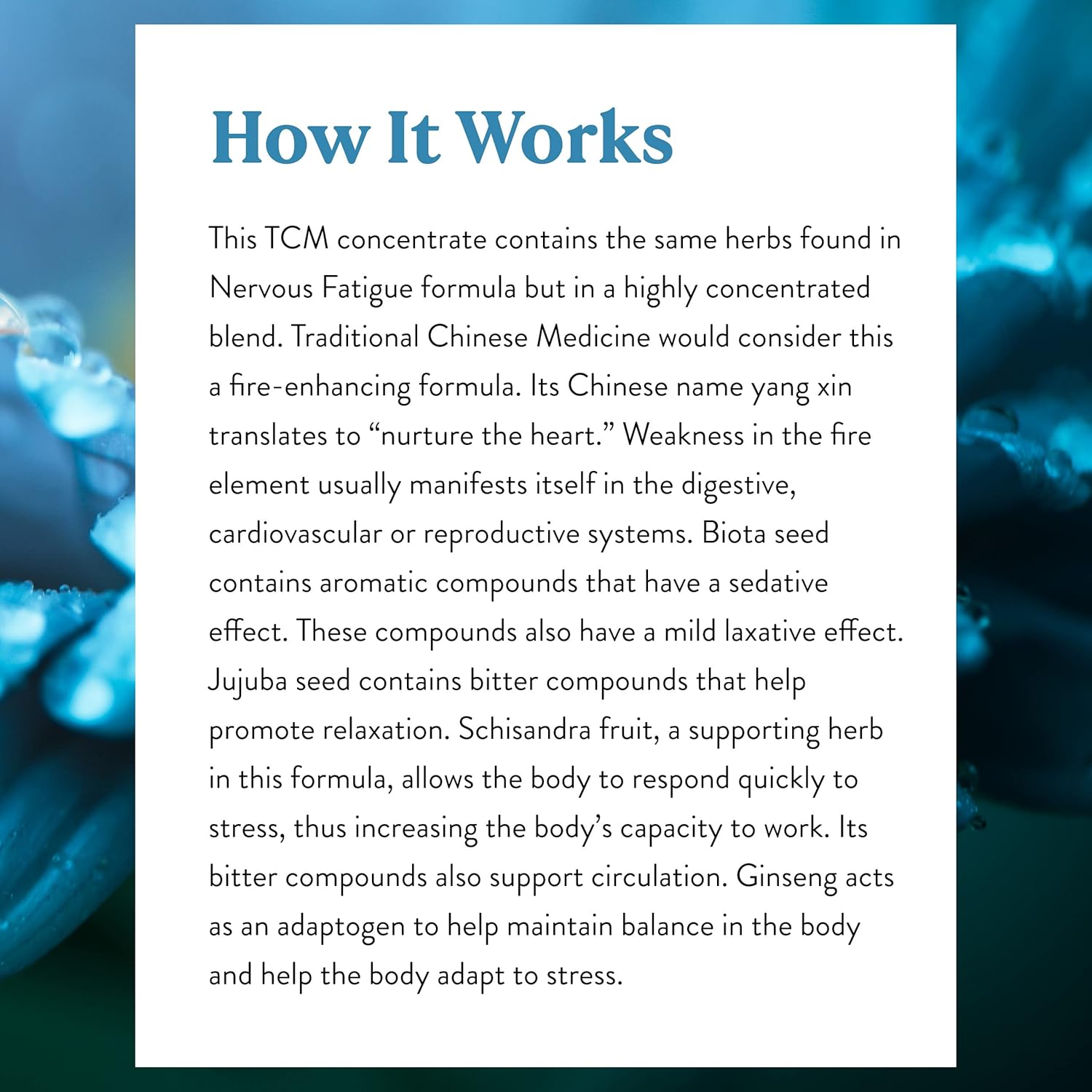 Natural Nervous Fatigue Support Supplement - TCM Concentrate - 30 Capsules