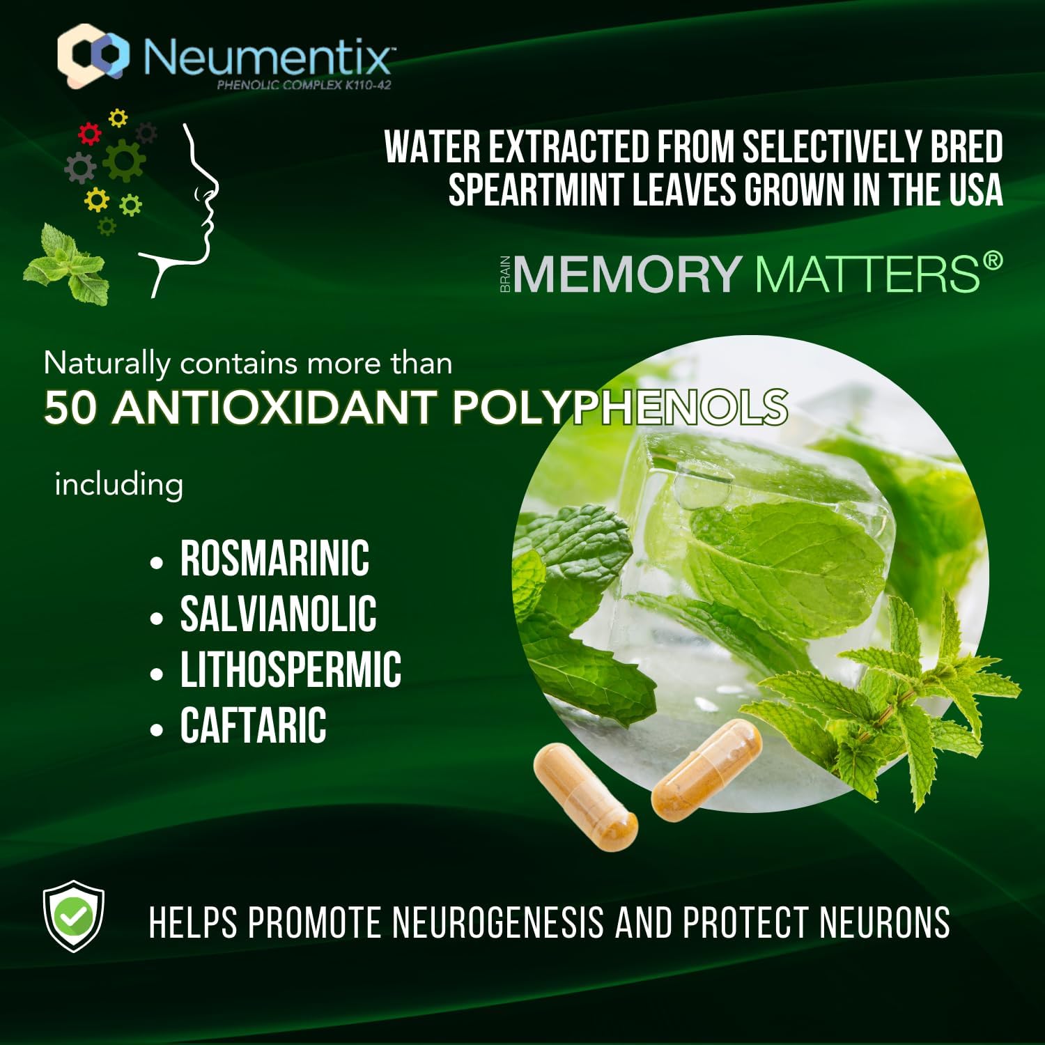 Natural Nootropic Brain Health Supplement with Neumentix for Cognitive Support - 90 Ct