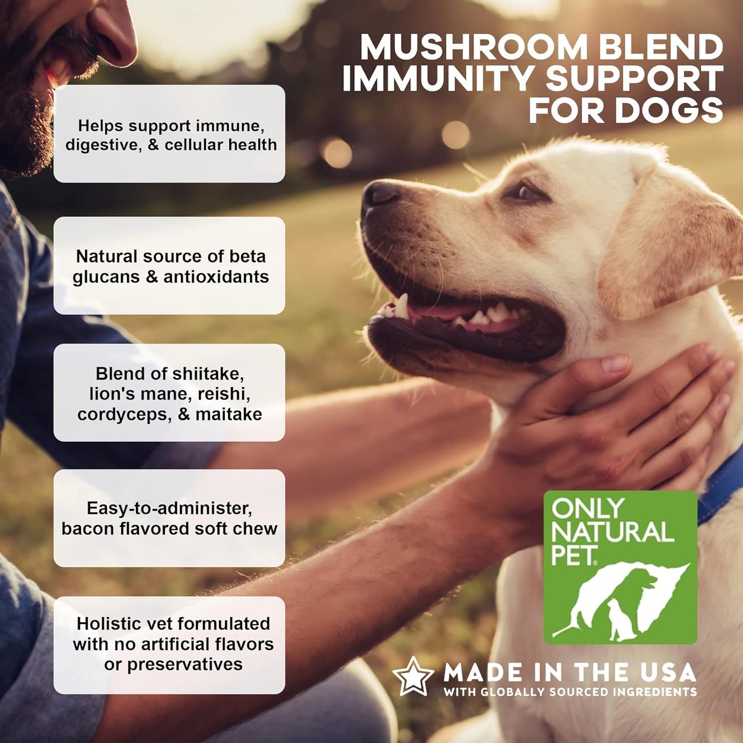 Natural Pet Mushroom Blend Immune System Support Soft Chews for Dogs - Boost Cellular, Digestive, & Liver Health - Multivitamin Beta-Glucan & Antioxidant - Bacon Flavor - 60 Chews