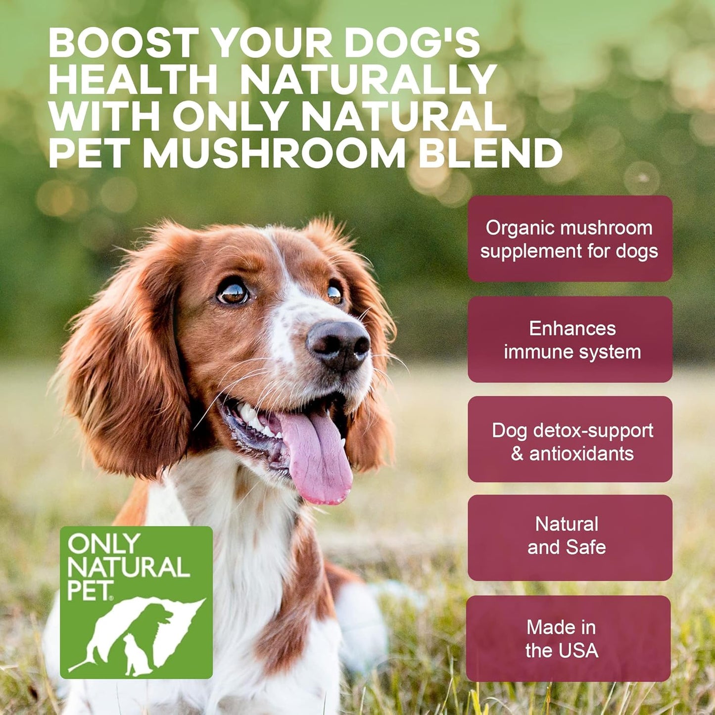 Natural Pet Mushroom Blend Immune System Support Soft Chews for Dogs - Boost Cellular, Digestive, & Liver Health - Multivitamin Beta-Glucan & Antioxidant - Bacon Flavor - 60 Chews