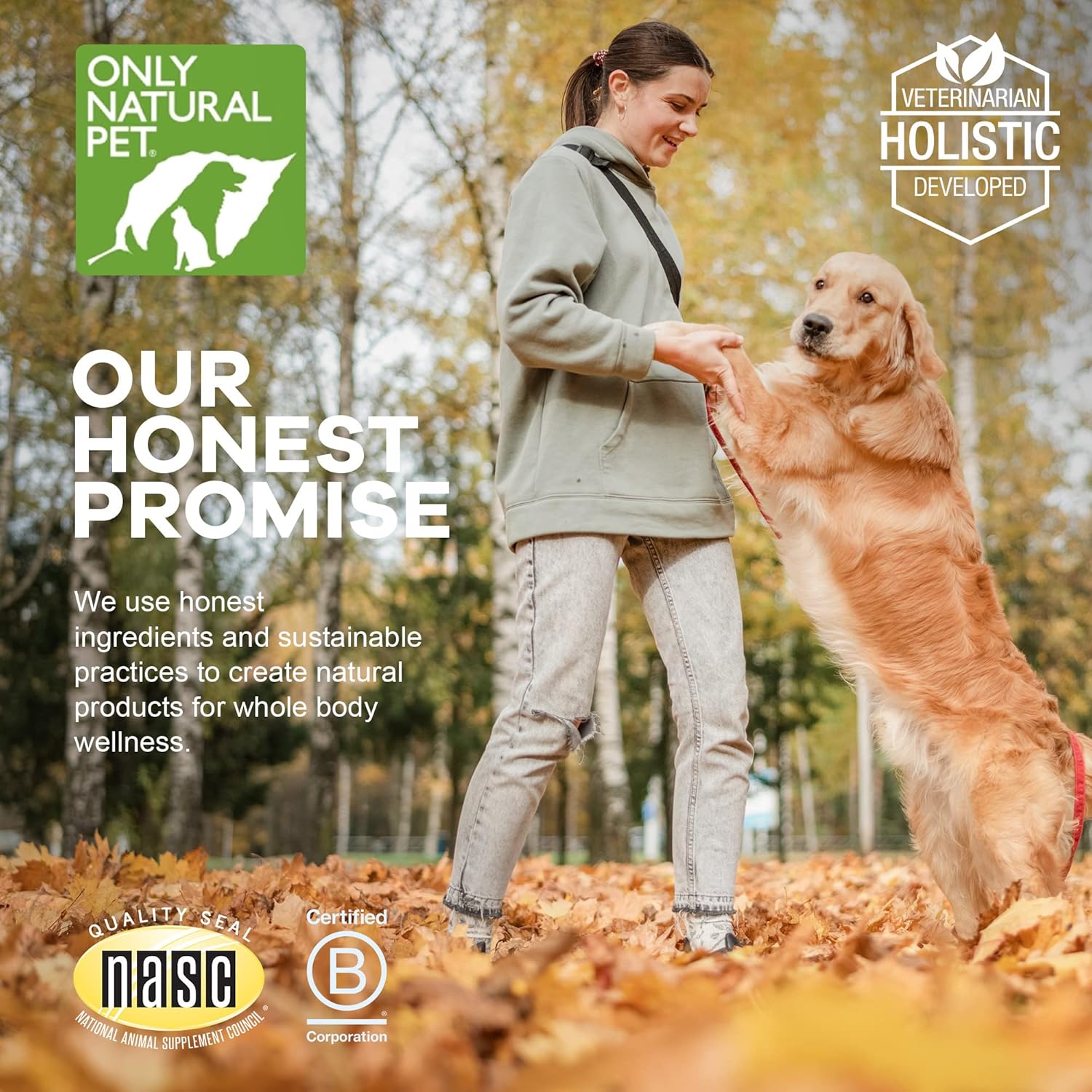 Natural Pet Mushroom Blend Immune System Support Soft Chews for Dogs - Boost Cellular, Digestive, & Liver Health - Multivitamin Beta-Glucan & Antioxidant - Bacon Flavor - 60 Chews