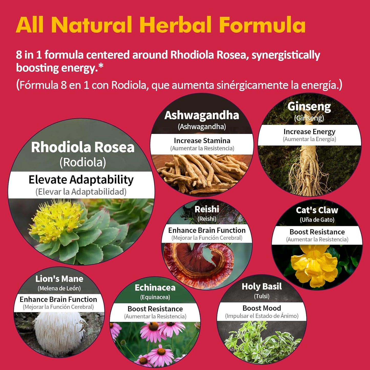 Natural Rhodiola Rosea Liquid Drops for Energy, Brain Health, and Mood Support - 2oz Original Formula