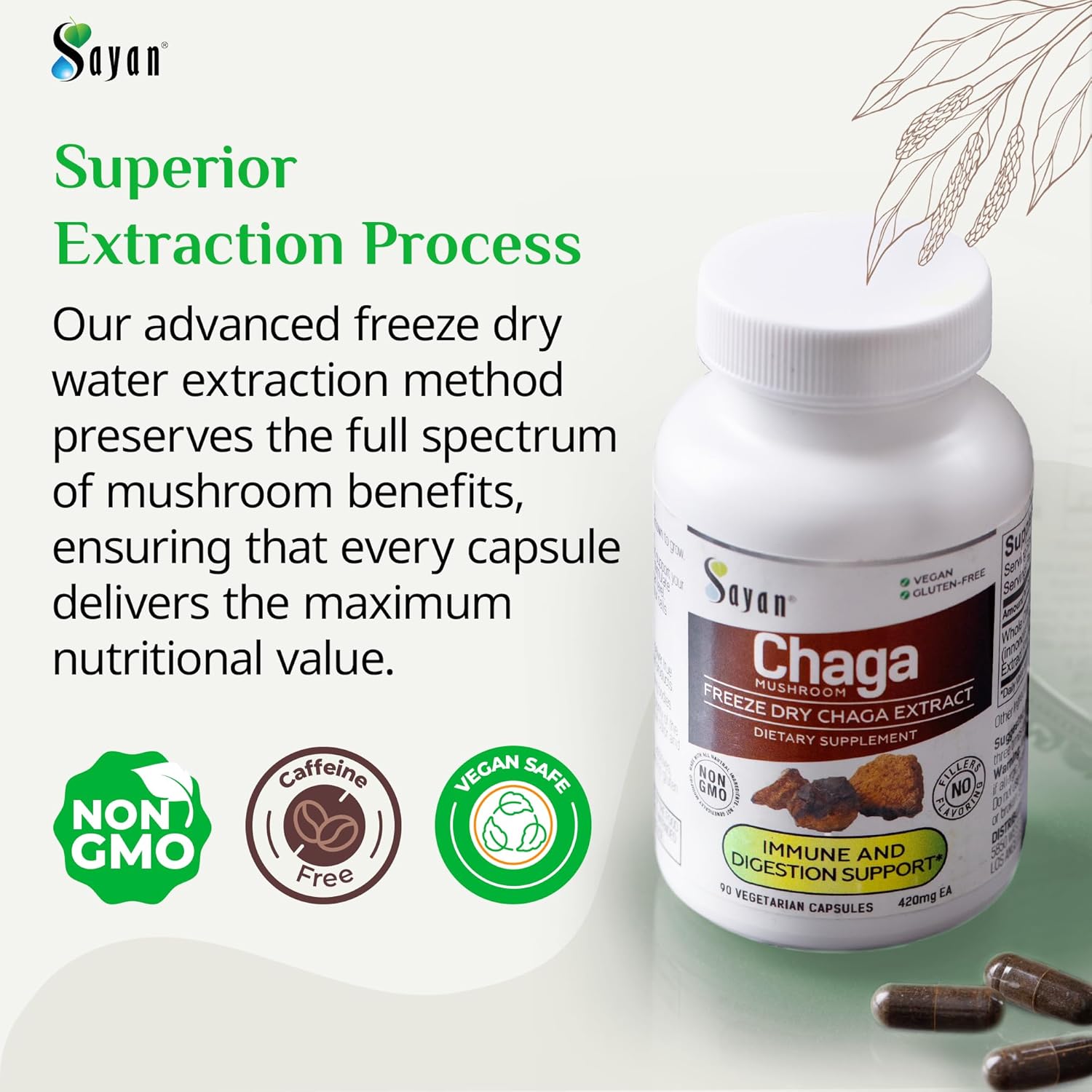 Natural Sayan Siberian Chaga Mushroom Extract Capsules - Antioxidant Supplement for Immune Support - Vegan & Non-GMO - 90 Capsules