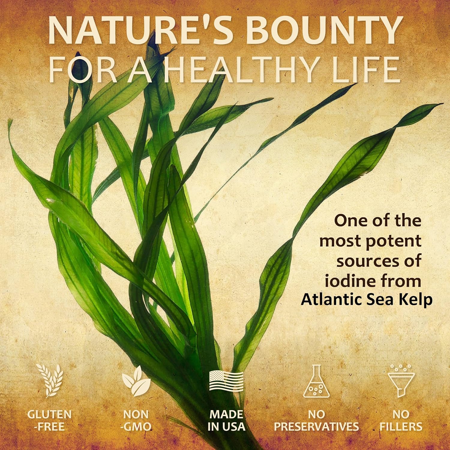 Natural Sea Kelp Drops for Thyroid Support and Energy Boost - Liquid Iodine Supplement - Vegetarian Formula - 2oz Bottle