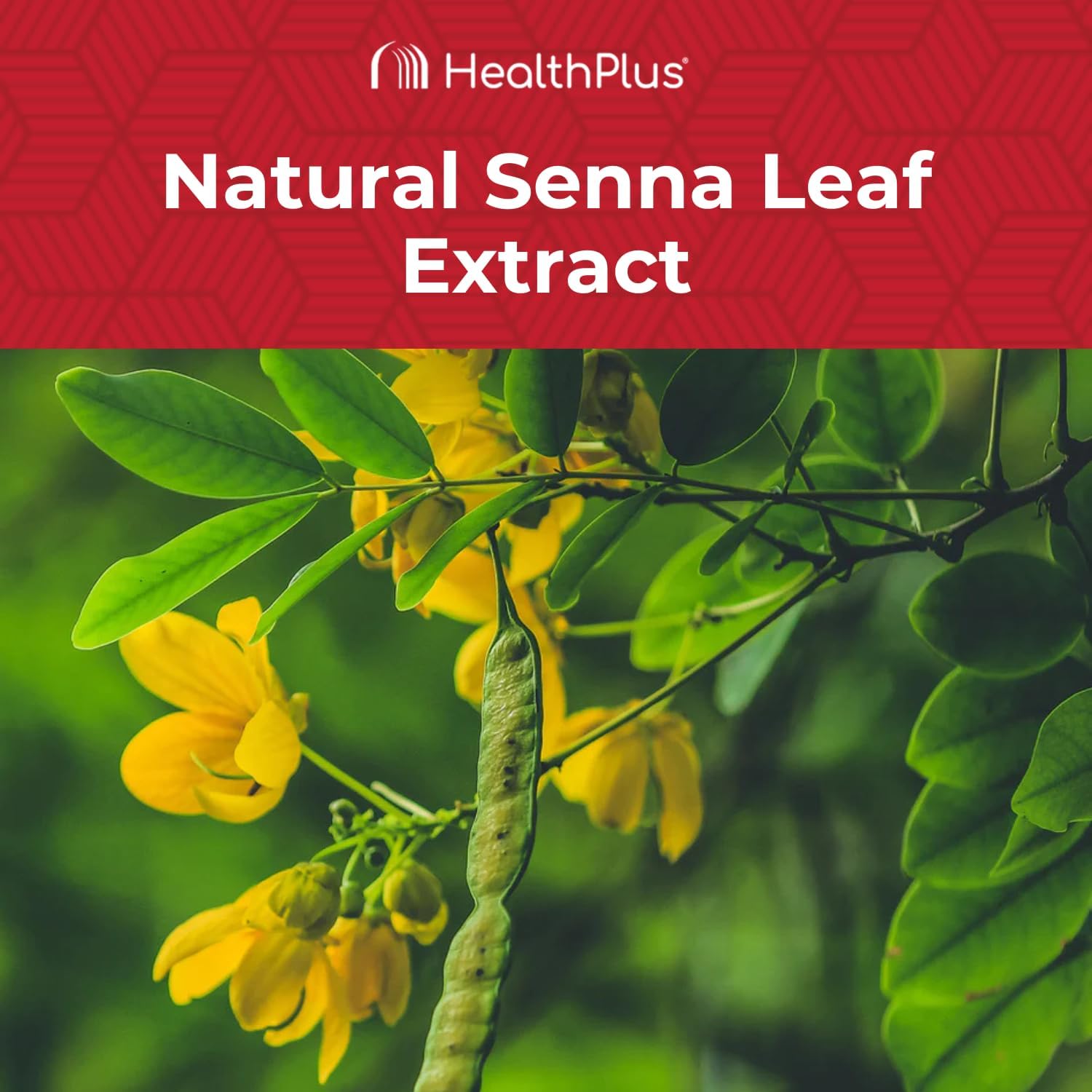 Natural Senna Leaf Extract Colon Cleanse Gummies for Gentle Overnight Relief - 60 Count, Mixed Berry Flavor Dietary Supplement