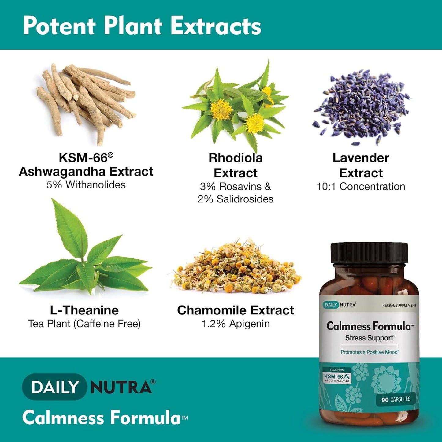 Natural Stress and Worry Support Supplement with KSM-66 Ashwagandha (90 Capsules) | Promotes Calm Mood | DailyNutra Formula for Effective Anxiety Relief