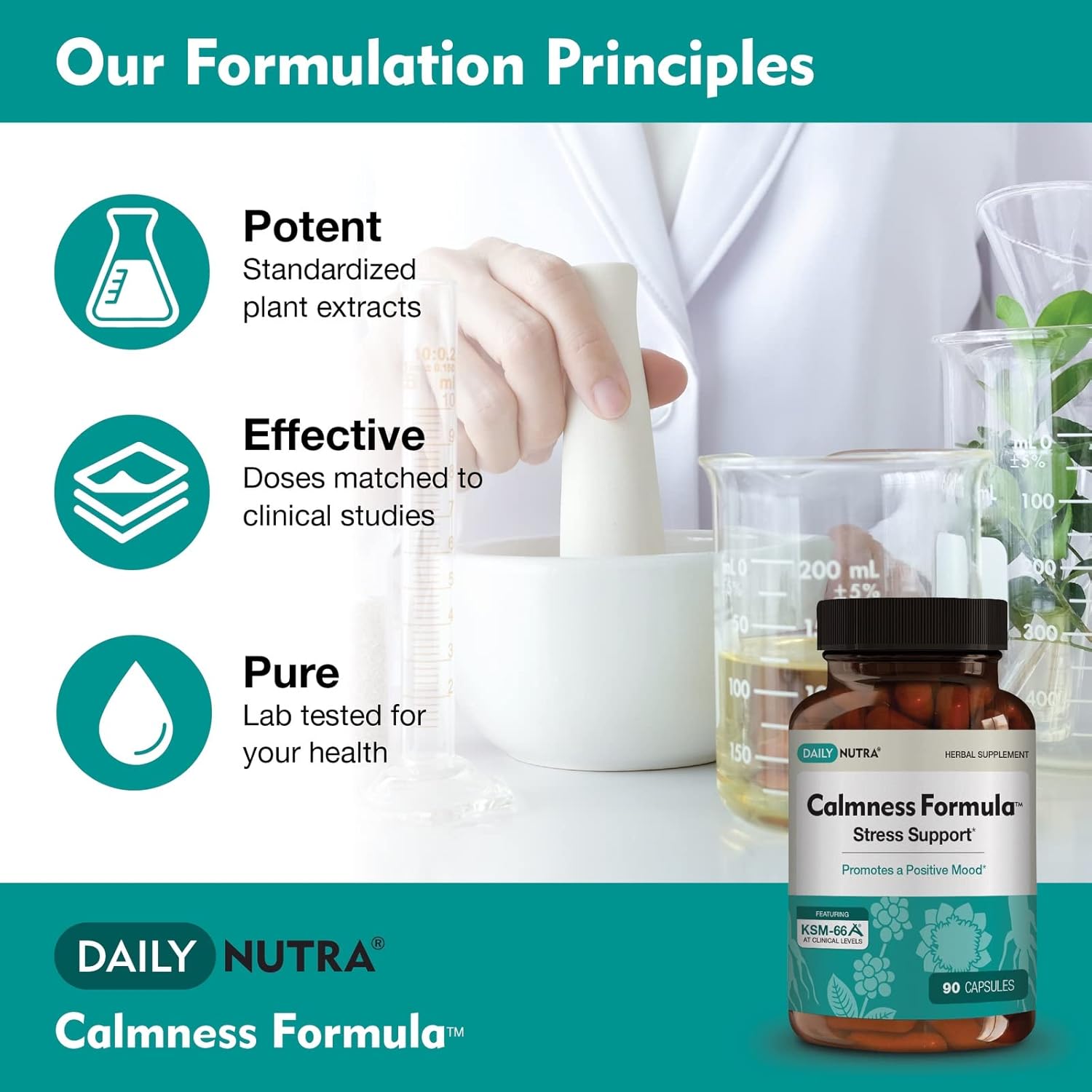 Natural Stress and Worry Support Supplement with KSM-66 Ashwagandha (90 Capsules) | Promotes Calm Mood | DailyNutra Formula for Effective Anxiety Relief