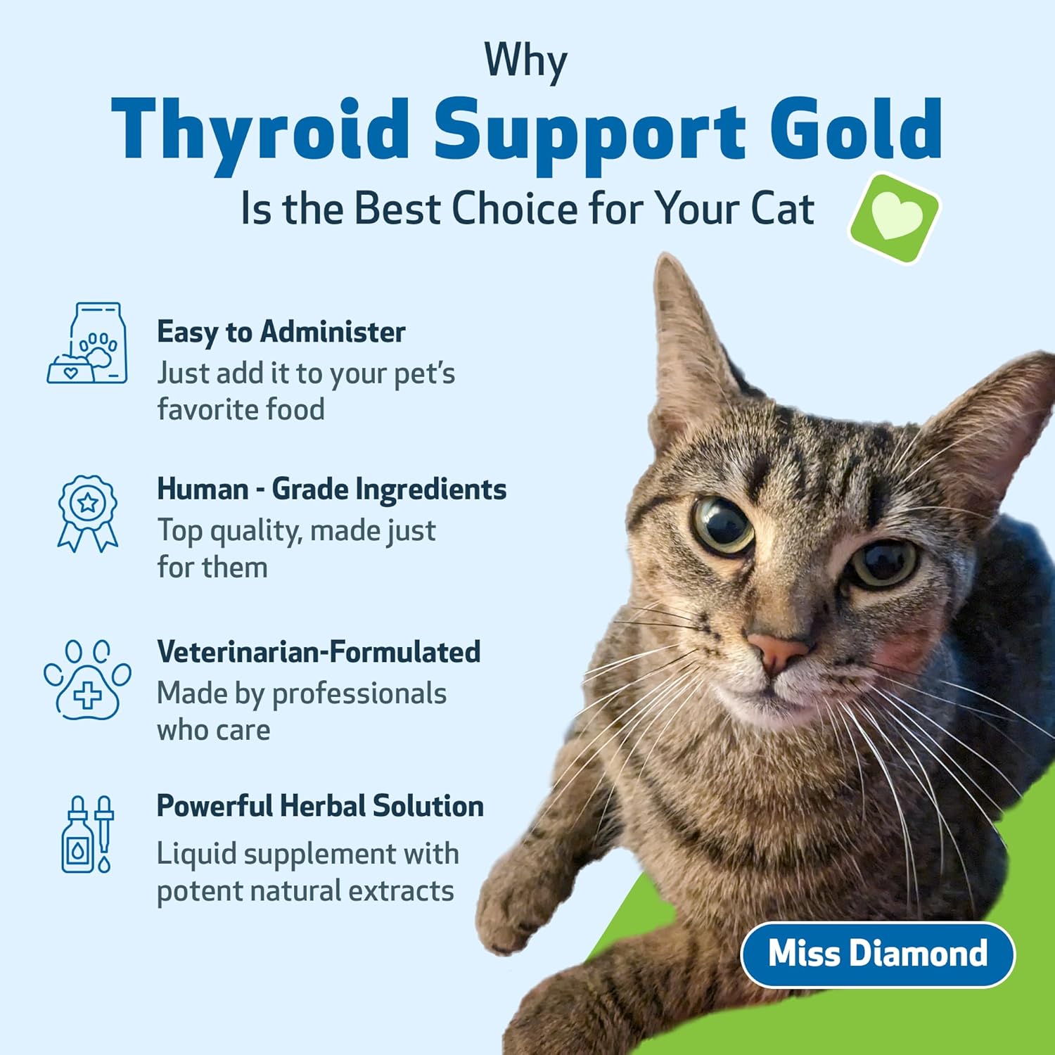 Natural Thyroid Support Supplement for Cats - Promotes Healthy Thyroid Function, Metabolism, Bugleweed & Lemon Balm - 2 fl oz