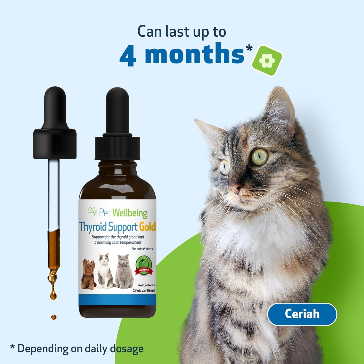 Natural Thyroid Support Supplement for Cats - Promotes Healthy Thyroid Function, Metabolism, Bugleweed & Lemon Balm - 2 fl oz
