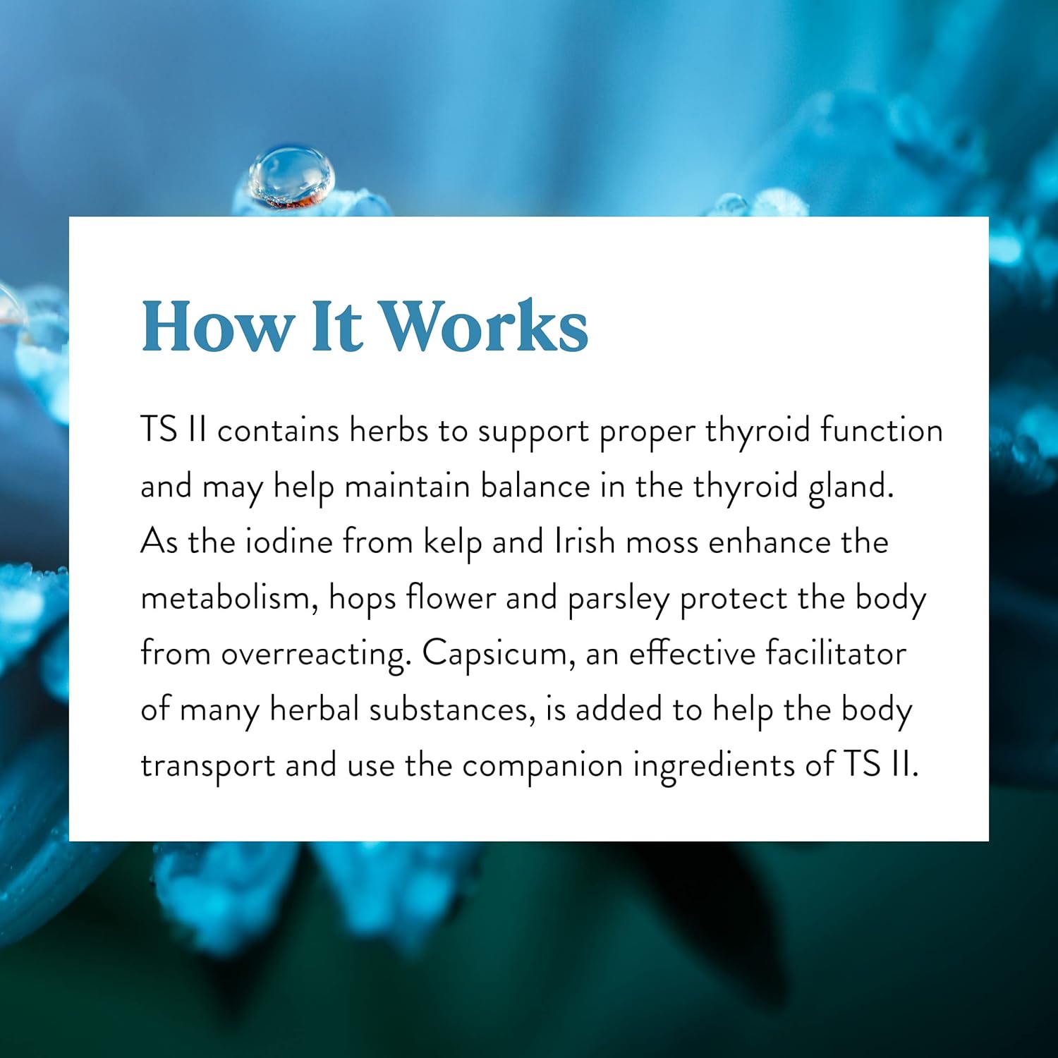 Natural Thyroid Support Supplement with Hops - 100 Capsules for Thyroid Function Balance