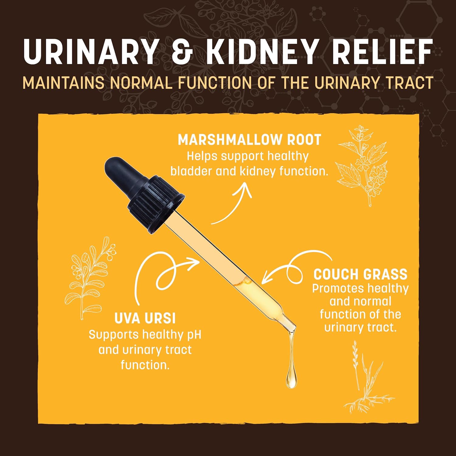 Natural Urinary and Kidney Relief Herbal Remedy - 2 fl oz