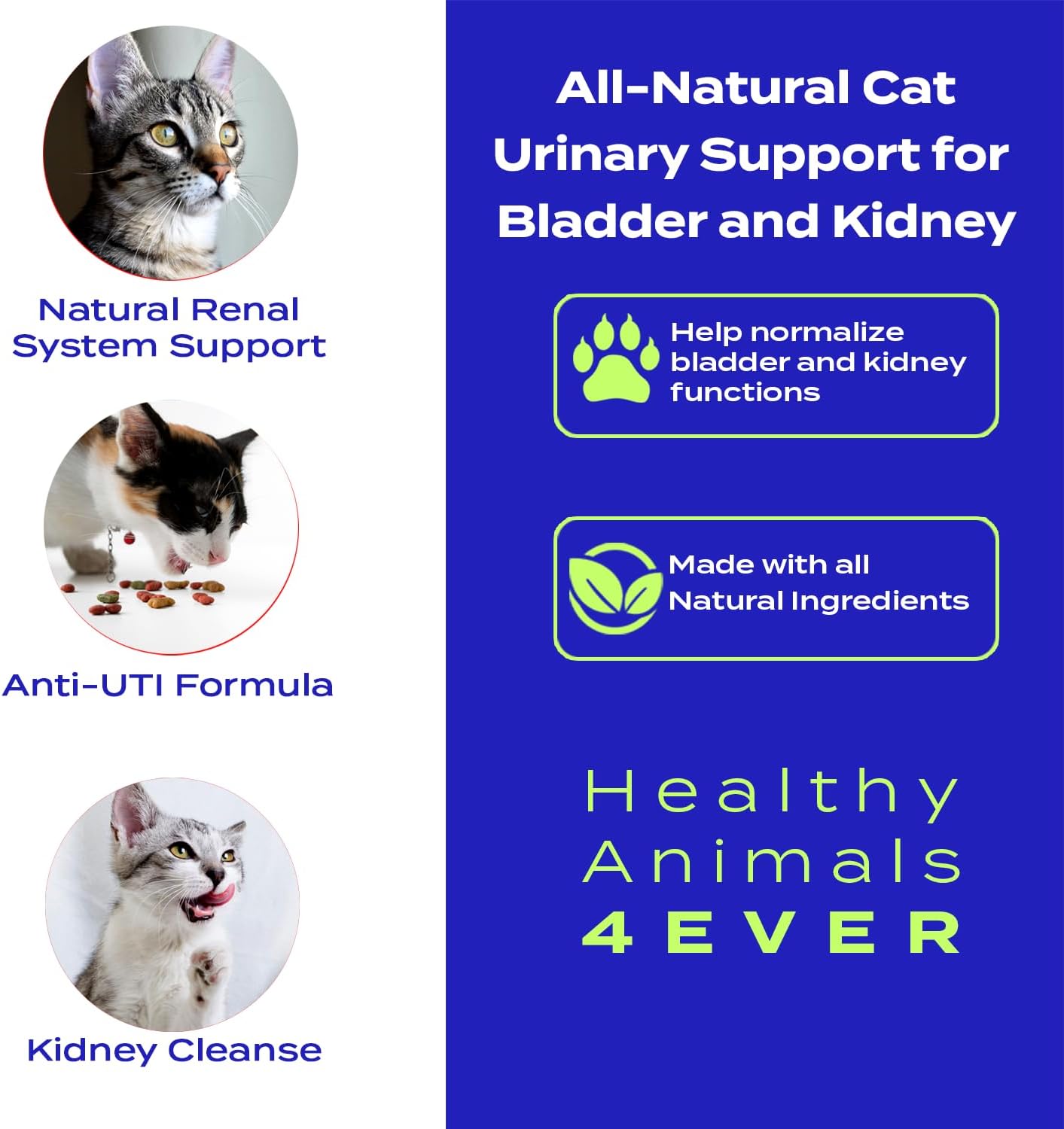 Natural Urinary Support Supplement for Cats - Promotes Bladder and Kidney Health - Effective for UTIs & Renal Cleansing - 300ct - Non-GMO & Organic - Preservative Free