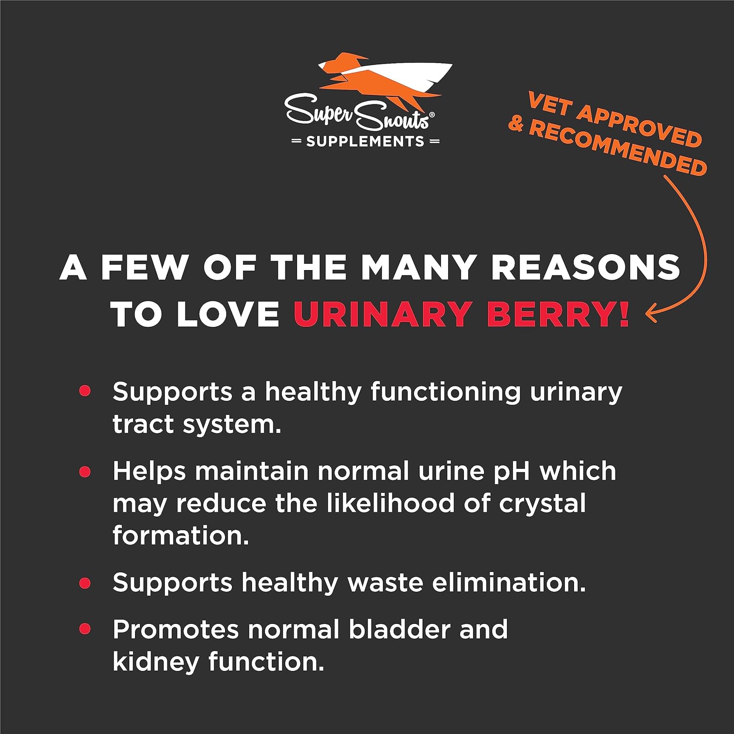 Natural Urinary Tract Supplements for Dogs & Cats with US & Canadian Blueberry & Cranberry Powder - Supports UTI, Kidney & Bladder Health - Made in USA - 2.64 oz