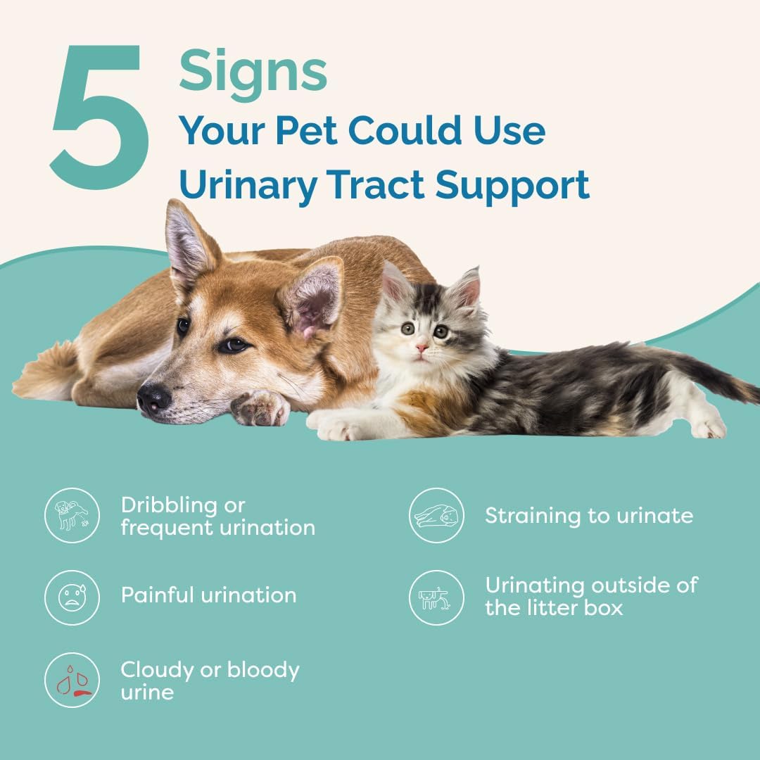 Natural Urinary Tract Support Liquid Supplement for Pets - Dog & Cat Bladder Health - PranaPets Supplement