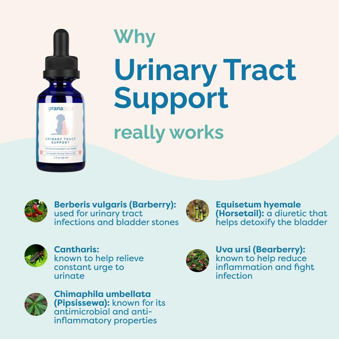 Natural Urinary Tract Support Liquid Supplement for Pets - Dog & Cat Bladder Health - PranaPets Supplement