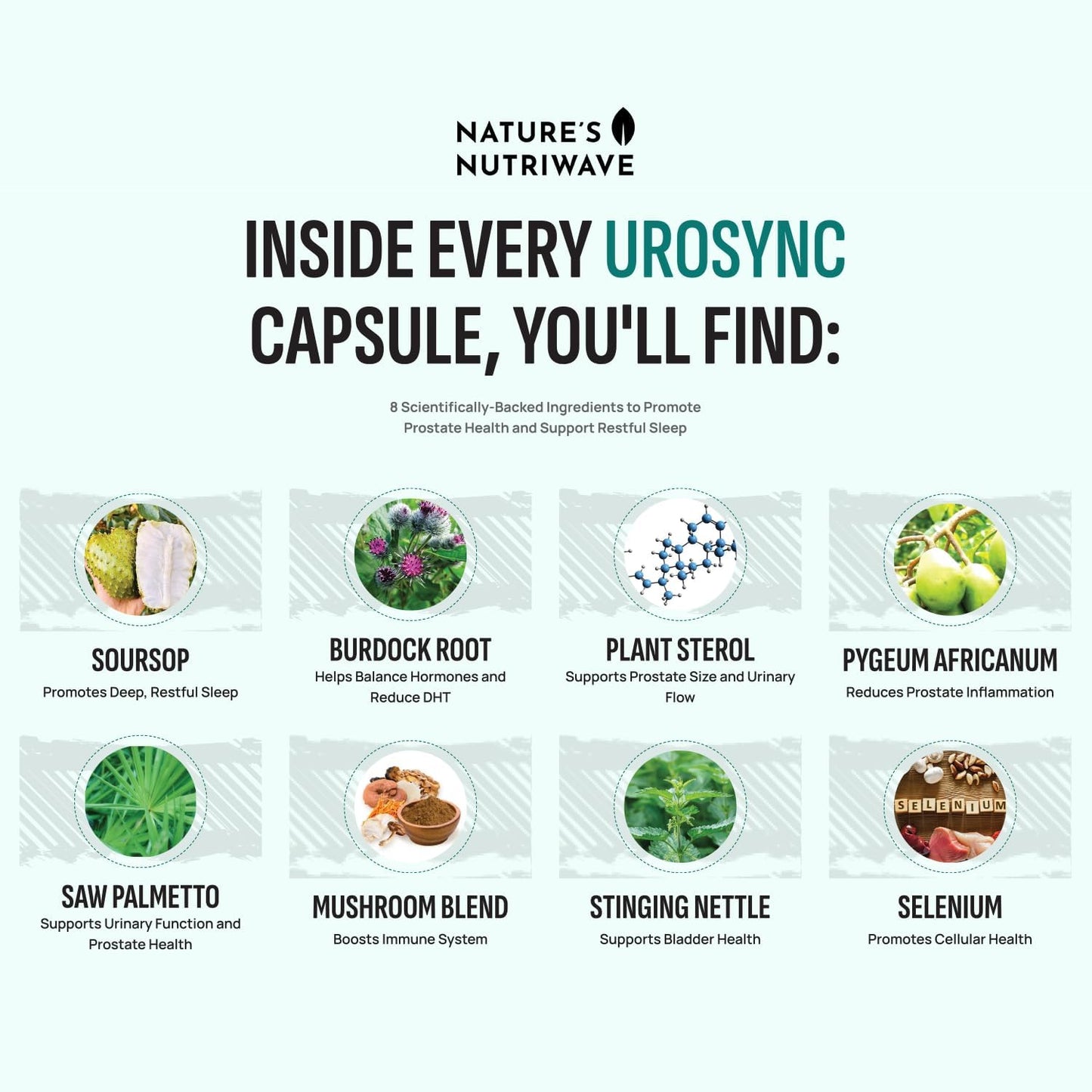 Natural UroSync Capsules with Saw Palmetto, Vitamin B6, Zinc, and Selenium - Supports Sleep & Wellness - Made in USA - Non-GMO - 60 Capsules