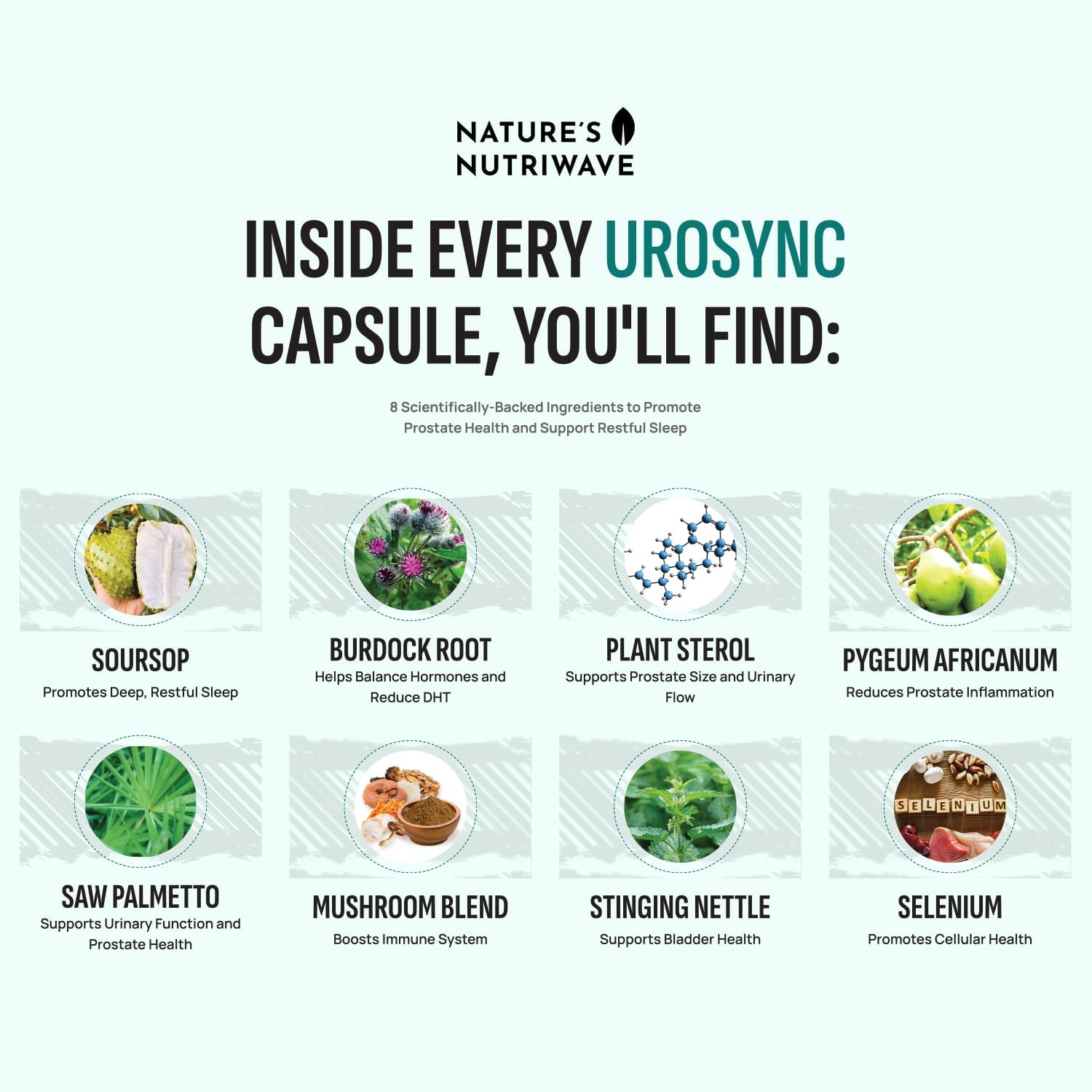 Natural UroSync Capsules with Saw Palmetto, Vitamin B6, Zinc, and Selenium - Supports Sleep & Wellness - Made in USA - Non-GMO - 60 Capsules