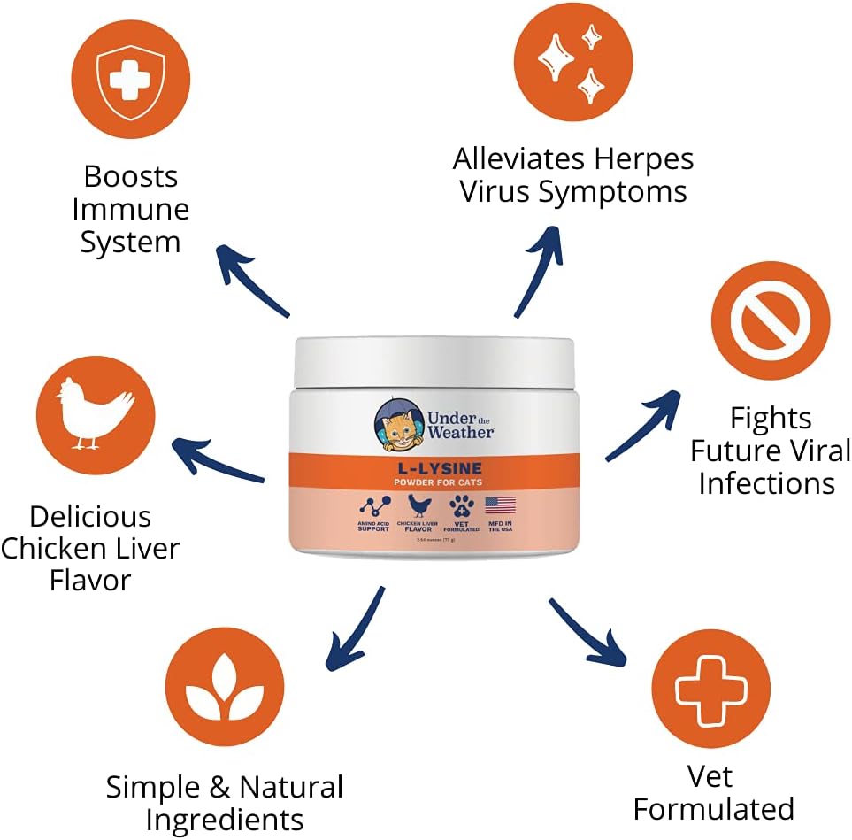 Natural Vet Formulated L-lysine Powder Cat Supplement for Immune Support (2.54 Oz)