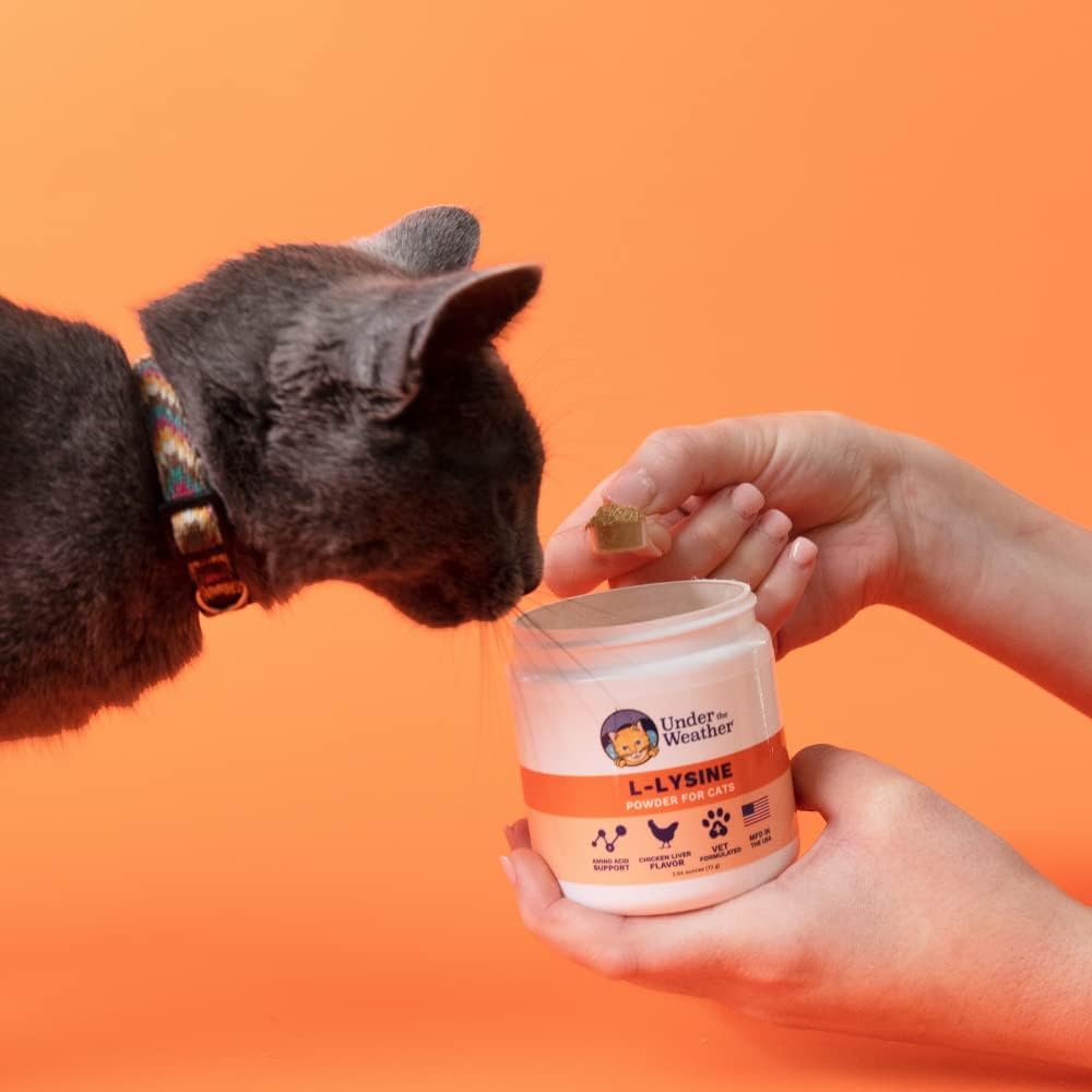 Natural Vet Formulated L-lysine Powder Cat Supplement for Immune Support (2.54 Oz)