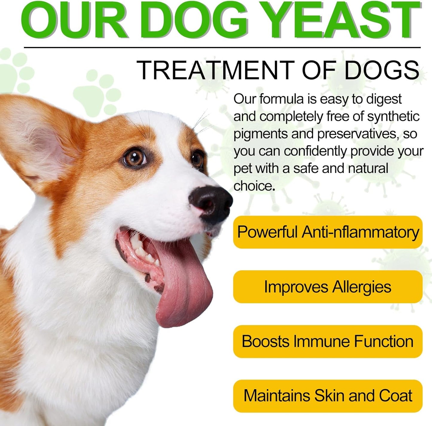 Natural Yeast Infection Treatment for Dogs - Effective Relief for Dog Ear Infections, Allergies, Inflammation, and Itching