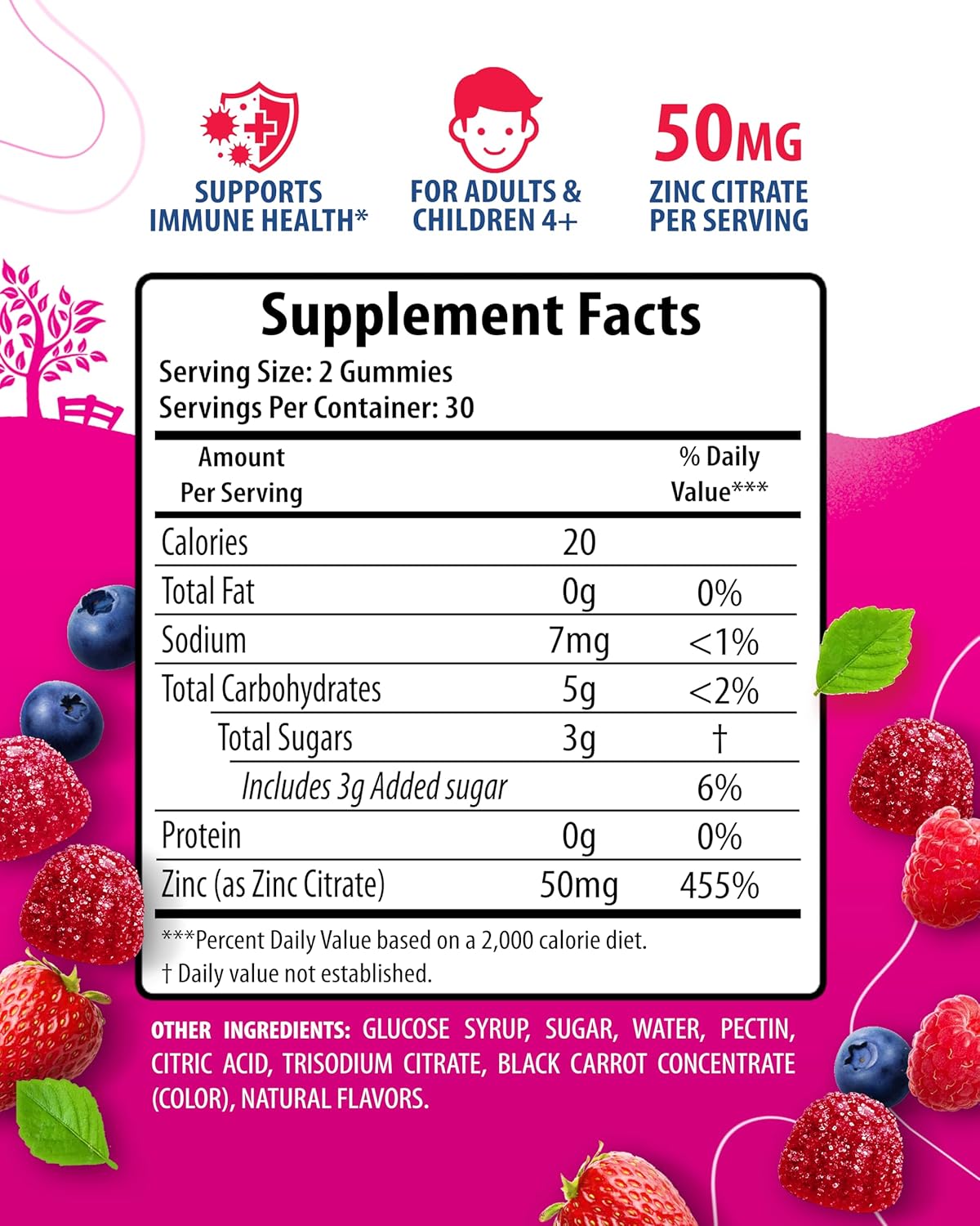 Natural Zinc Gummies for Immune Support - Chewable Antioxidant Supplement for Adults and Kids - Non-GMO Zinc Gummy