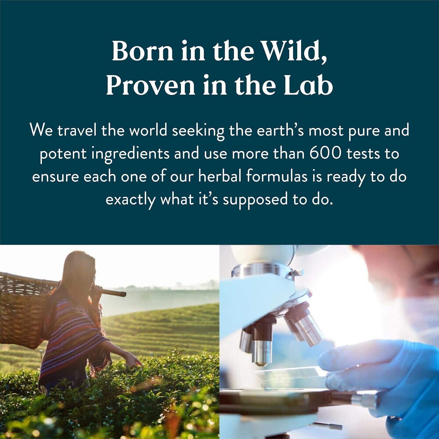 Naturally Balance Hormones & Improve Prostate Health with Nature's Sunshine Saw Palmetto - 100 Capsules, Kosher