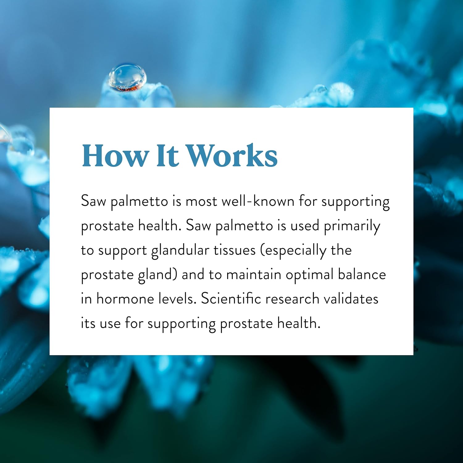 Naturally Balance Hormones & Improve Prostate Health with Nature's Sunshine Saw Palmetto - 100 Capsules, Kosher