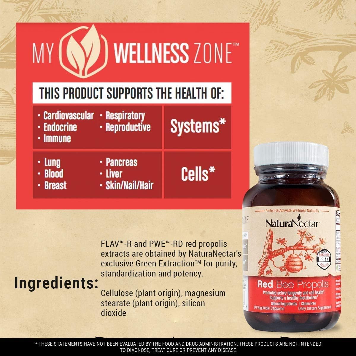 NaturaNectar Bee Propolis Bundle for Immune Support, Memory, and Metabolism - Green & Red Propolis - 60 Capsules