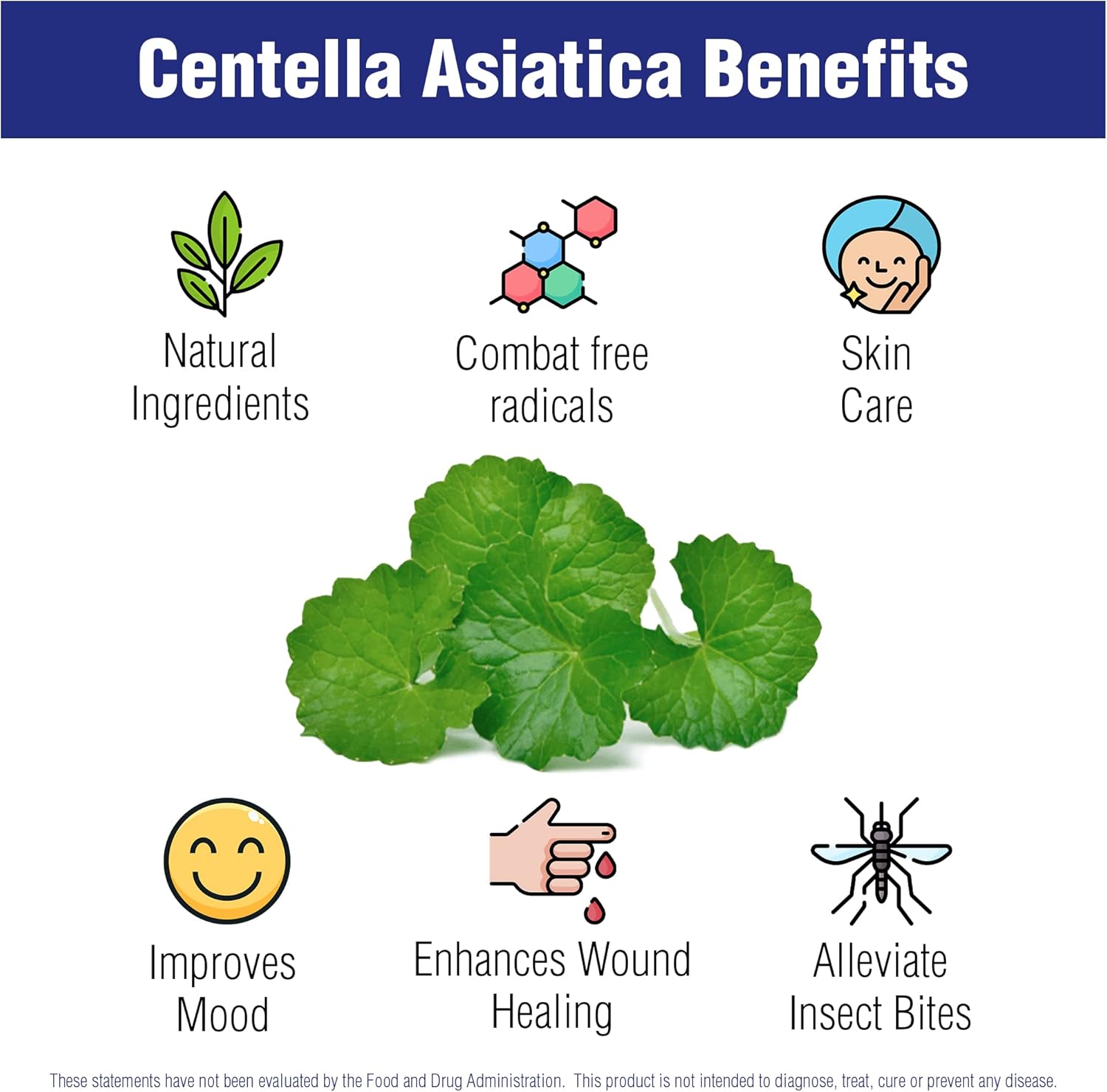 Naturasys Centella Asiatica Capsules 500mg - 60 Capsules for Skin Moisturization and Mental Clarity - Gotu Kola Herb Extract Supplement by Natural Systems - BoostGo Australia