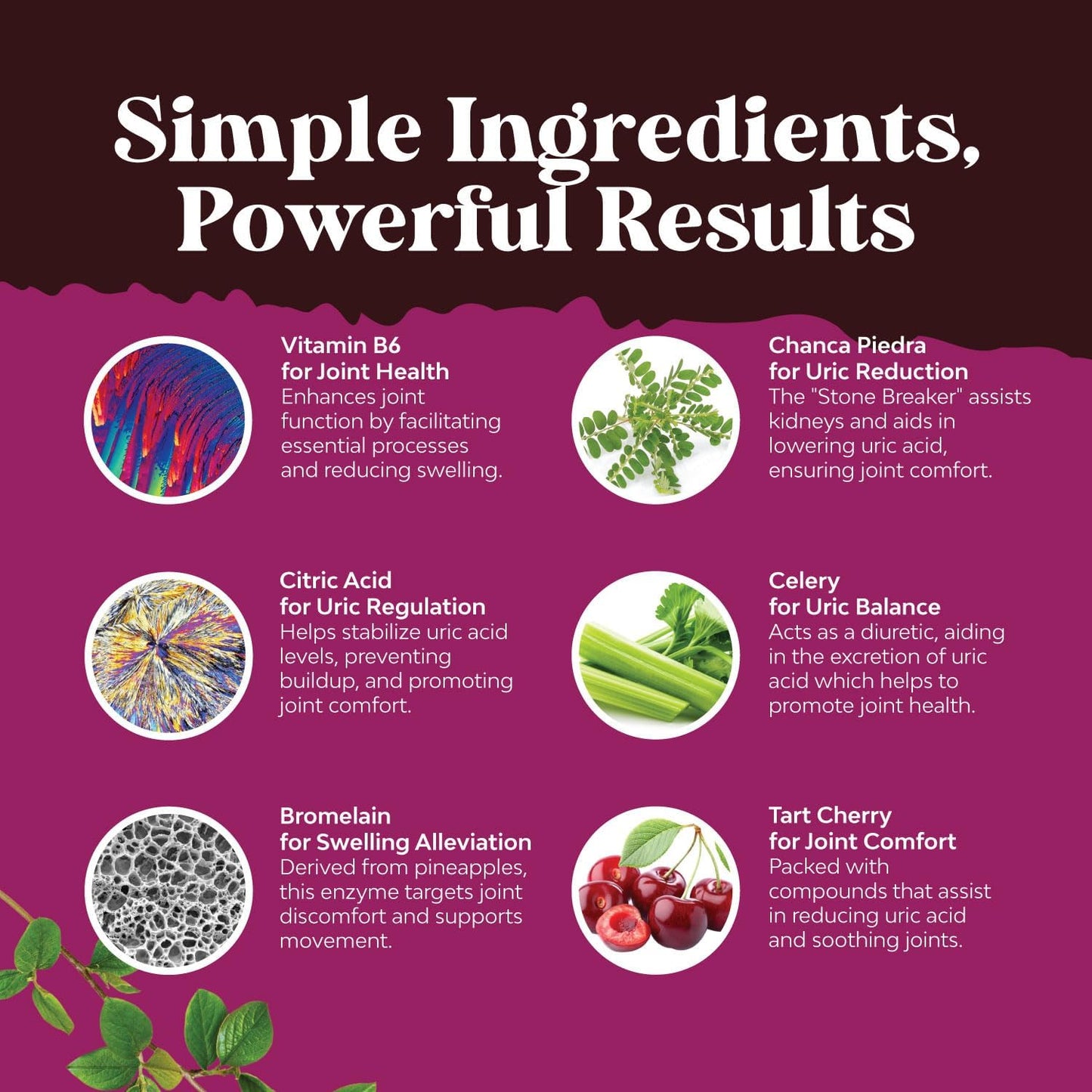 Natures Craft Bundle: GCleanse Uric Acid & Antarctic Krill Oil - Liver & Kidney Detox - High Absorption Omega 3 Supplement