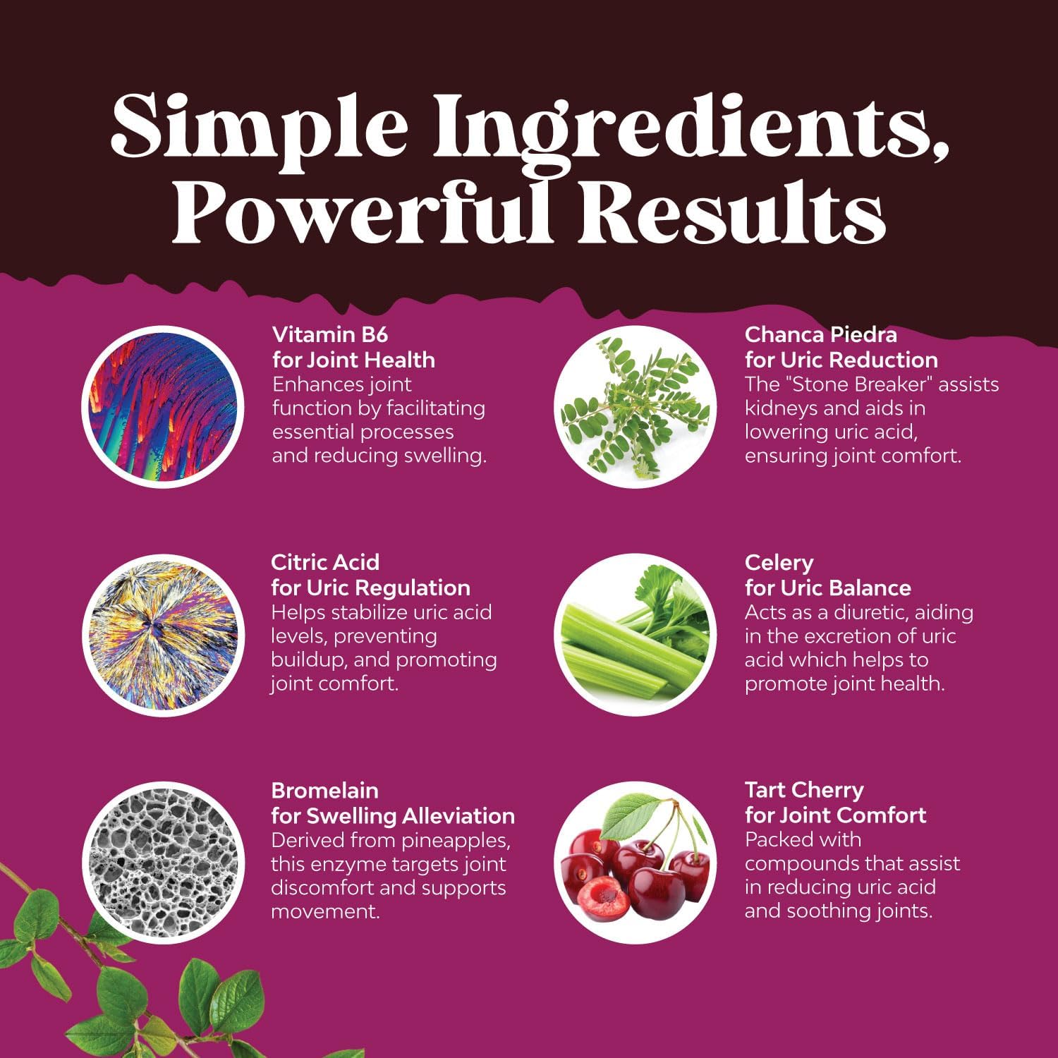 Natures Craft Bundle: GCleanse Uric Acid & Antarctic Krill Oil - Liver & Kidney Detox - High Absorption Omega 3 Supplement