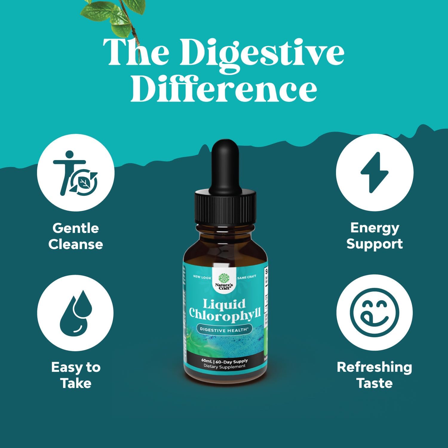 Natures Craft Chlorophyll Liquid Drops and Brain Focus Mushroom Supplement Bundle - Anti Aging, Immune Support, Natural Sugar Balance