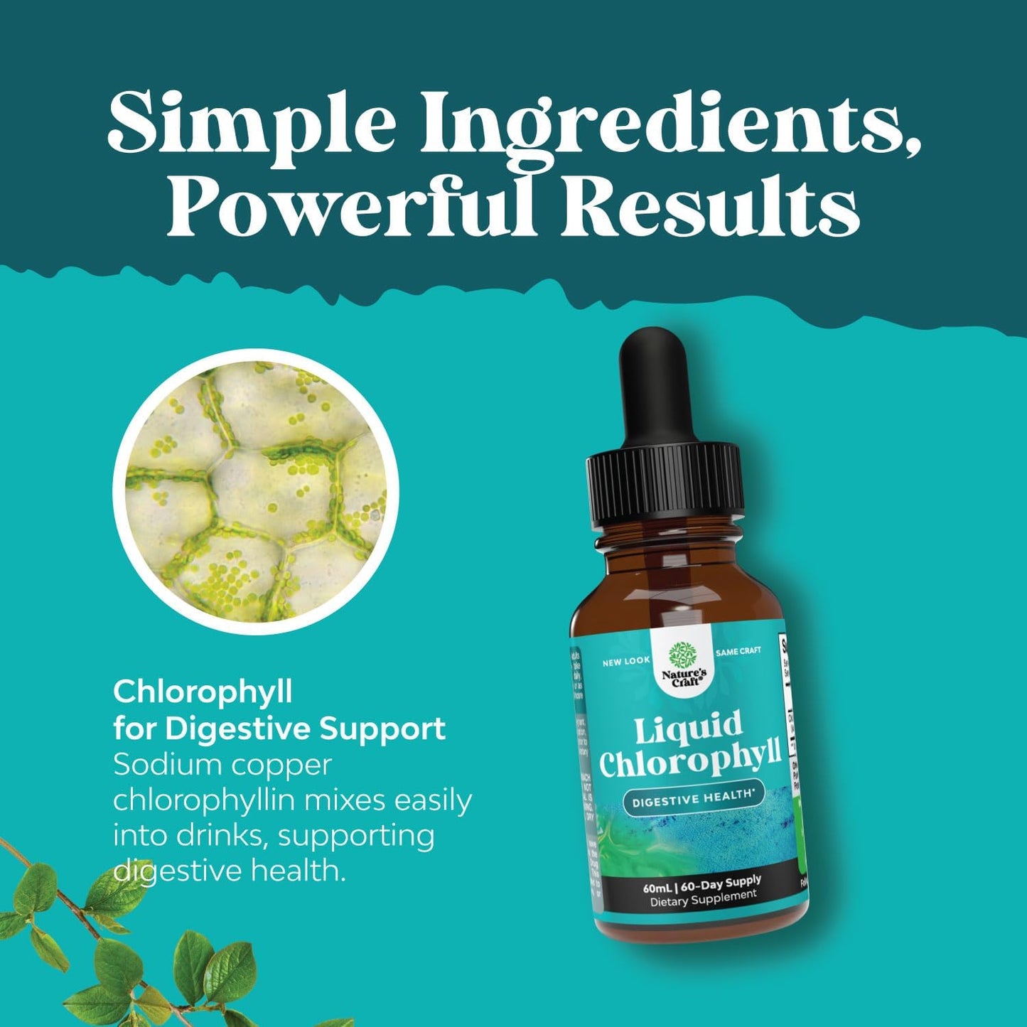 Natures Craft Chlorophyll Liquid Drops and Brain Focus Mushroom Supplement Bundle - Anti Aging, Immune Support, Natural Sugar Balance