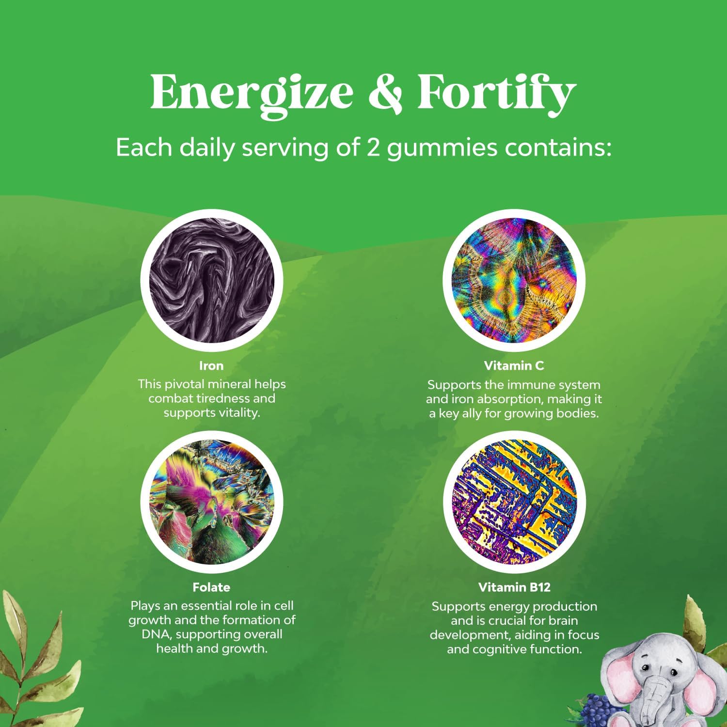 Natures Craft Kids Iron Gummies - Immune & Energy Support for Children - Vegan, Non-GMO, Gluten Free - 60 Count