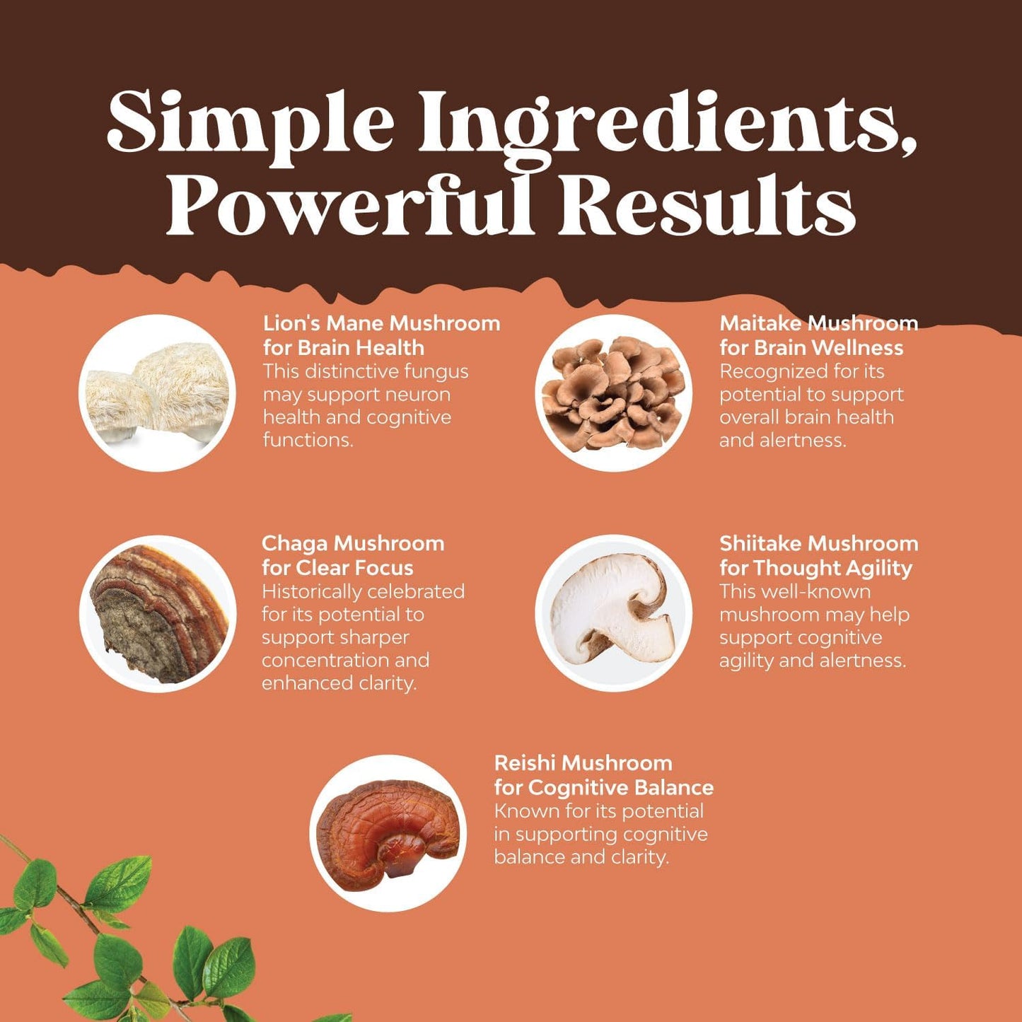 Natures Craft Magnesium Glycinate Capsules with Brain Focus Mushroom Blend - Immune and Bone Health Support with Mood and Sugar Balance Benefits