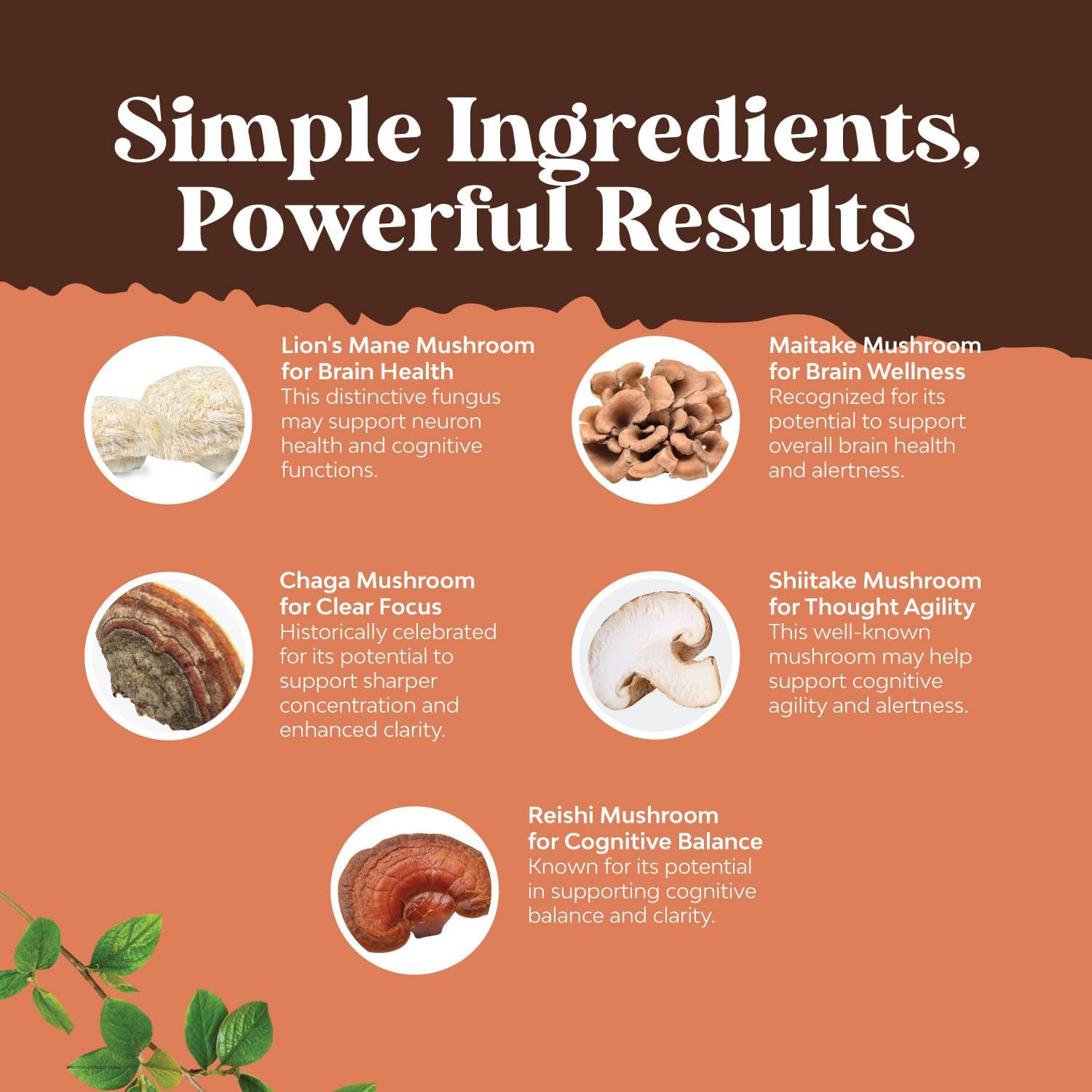 Natures Craft Magnesium Glycinate Capsules with Brain Focus Mushroom Blend - Immune and Bone Health Support with Mood and Sugar Balance Benefits