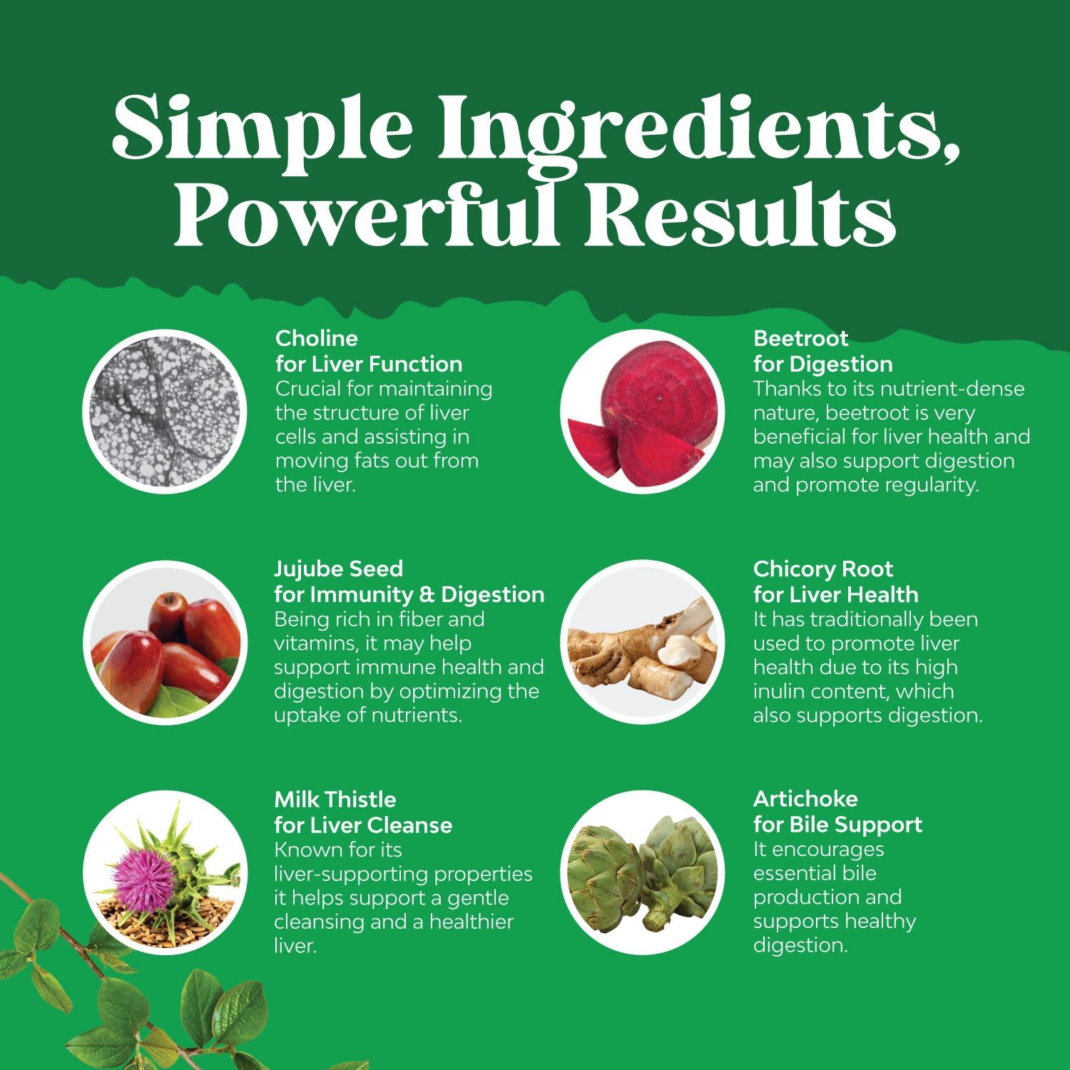 Natures Craft Milk Thistle Liver Support and L-Lysine 1000mg Bundle - Herbal Liver Supplement with Silymarin and Essential Amino Acids