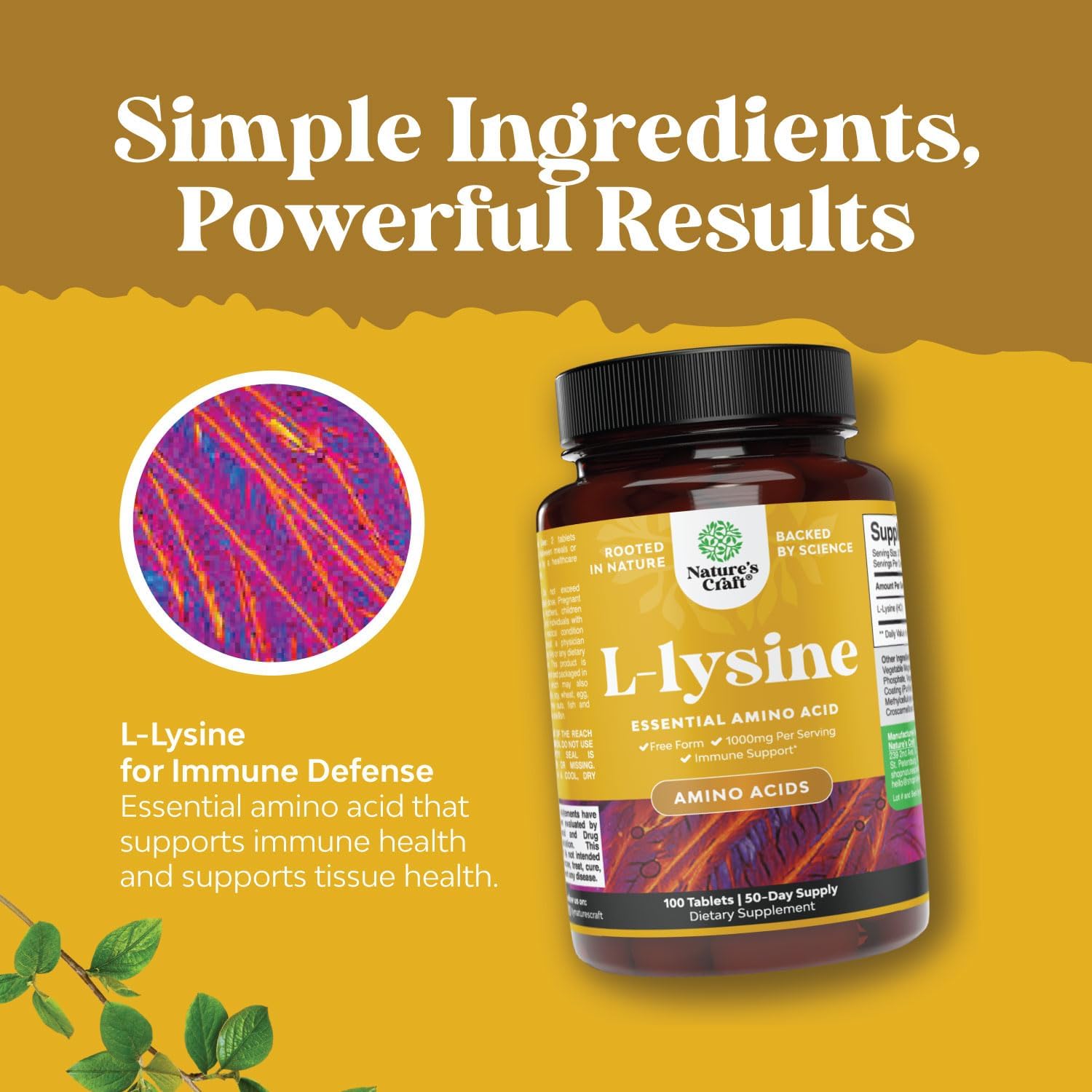 Natures Craft Milk Thistle Liver Support and L-Lysine 1000mg Bundle - Herbal Liver Supplement with Silymarin and Essential Amino Acids