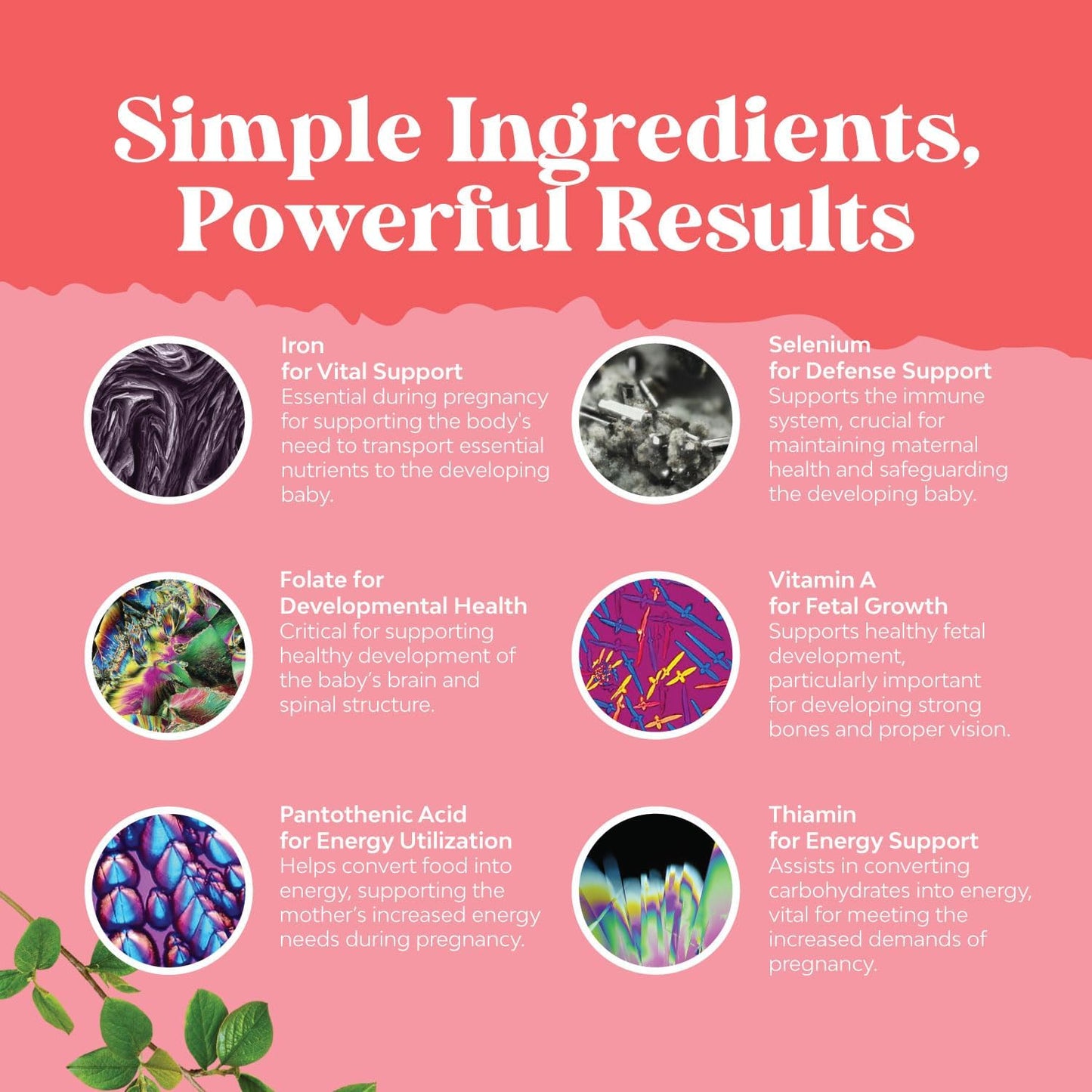 Natures Craft Vegan Prenatal Gummies - Women's Chewable Vitamins with Iron, Folic Acid & Superfruit Blend - Pineapple Mango Flavor, 40 Day Supply