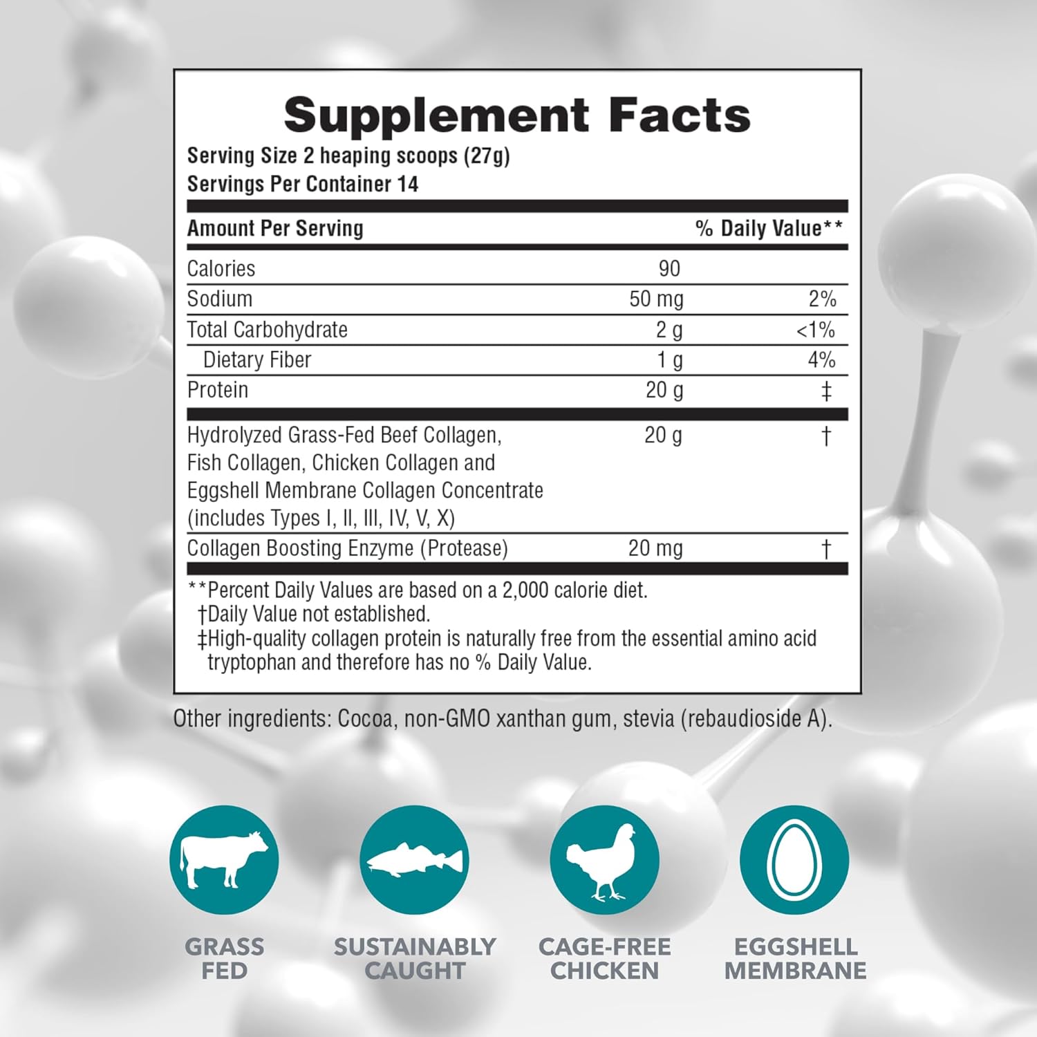 Natures Plus Chocolate Collagen Peptides Powder - 0.83 lb - Hair, Skin, Nail, Joint Health - Immune Support - Non-GMO, Gluten-Free - 14 Servings