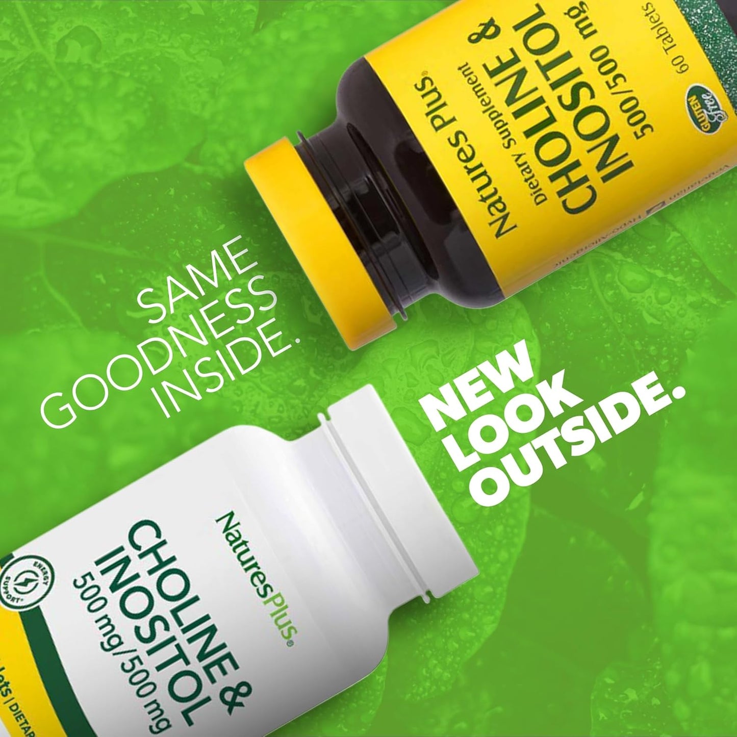 Natures Plus Choline & Inositol 500mg Vegetarian Tablets for Nervous System & Liver Health - Gluten-Free - 60 Servings