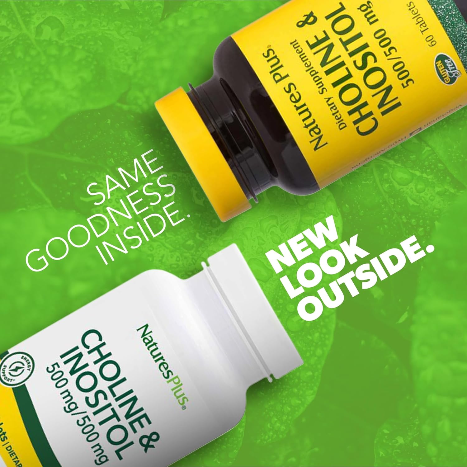 Natures Plus Choline & Inositol 500mg Vegetarian Tablets for Nervous System & Liver Health - Gluten-Free - 60 Servings